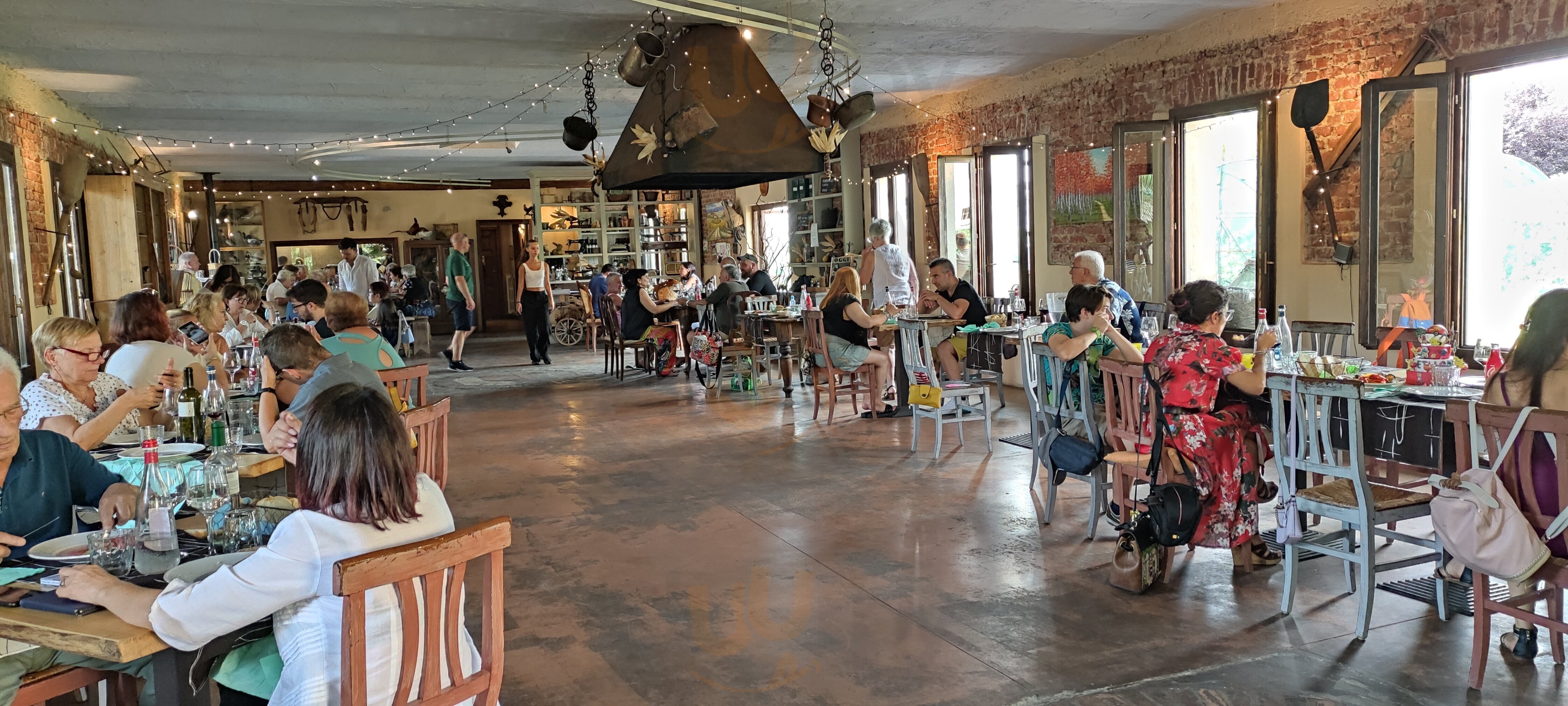 Foto di Fattoria L'oasi - 7/10