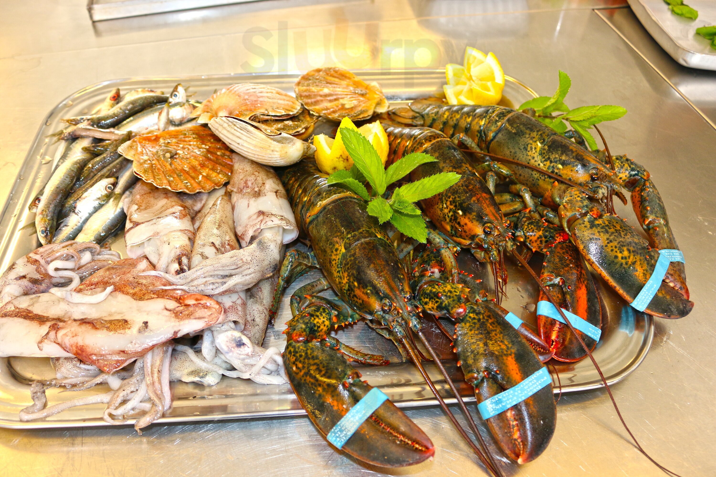 Gastronomia Mare E Terra, Udine