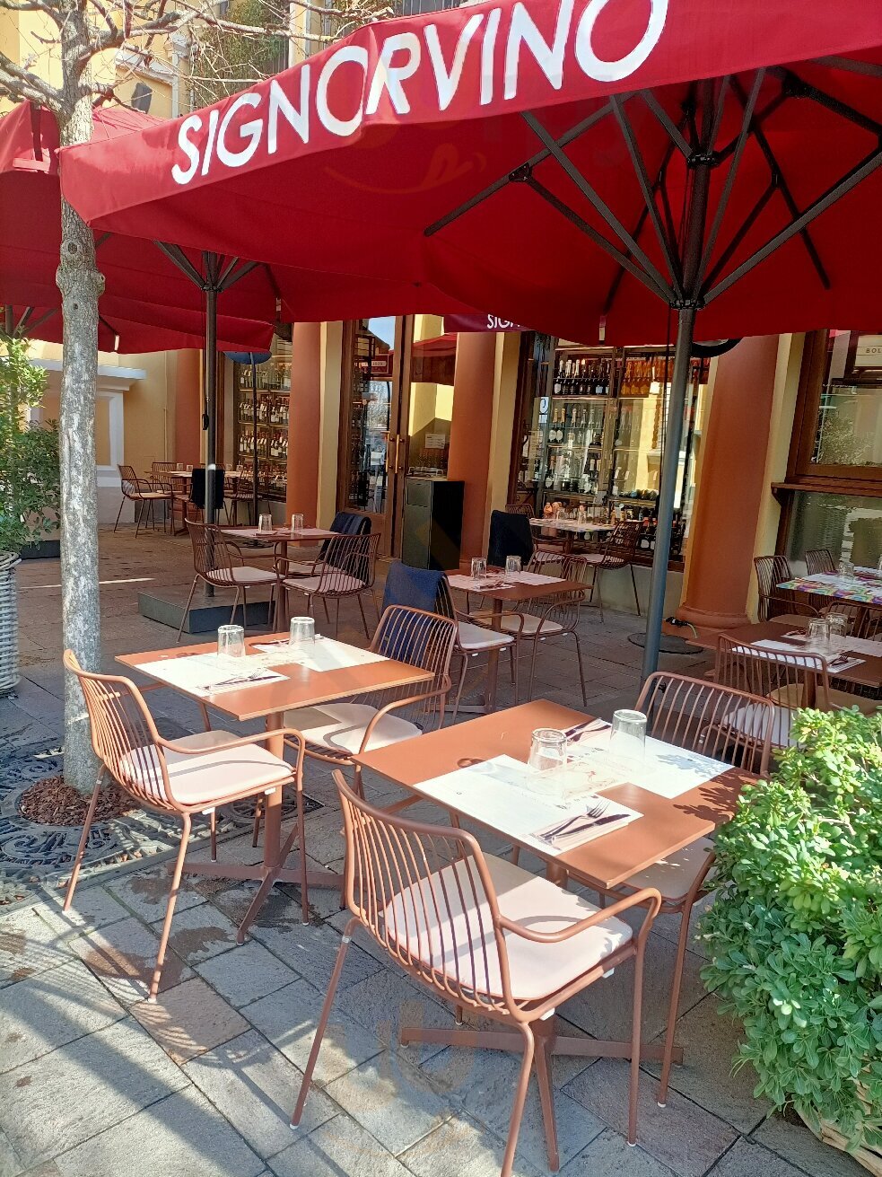 Foto di Signorvino Fidenza - 9/10