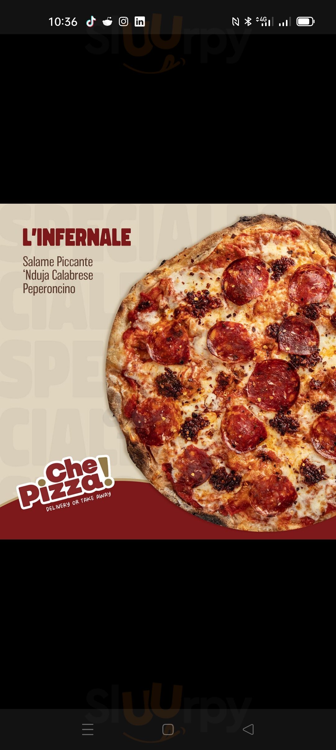 Che Pizza!, Terni