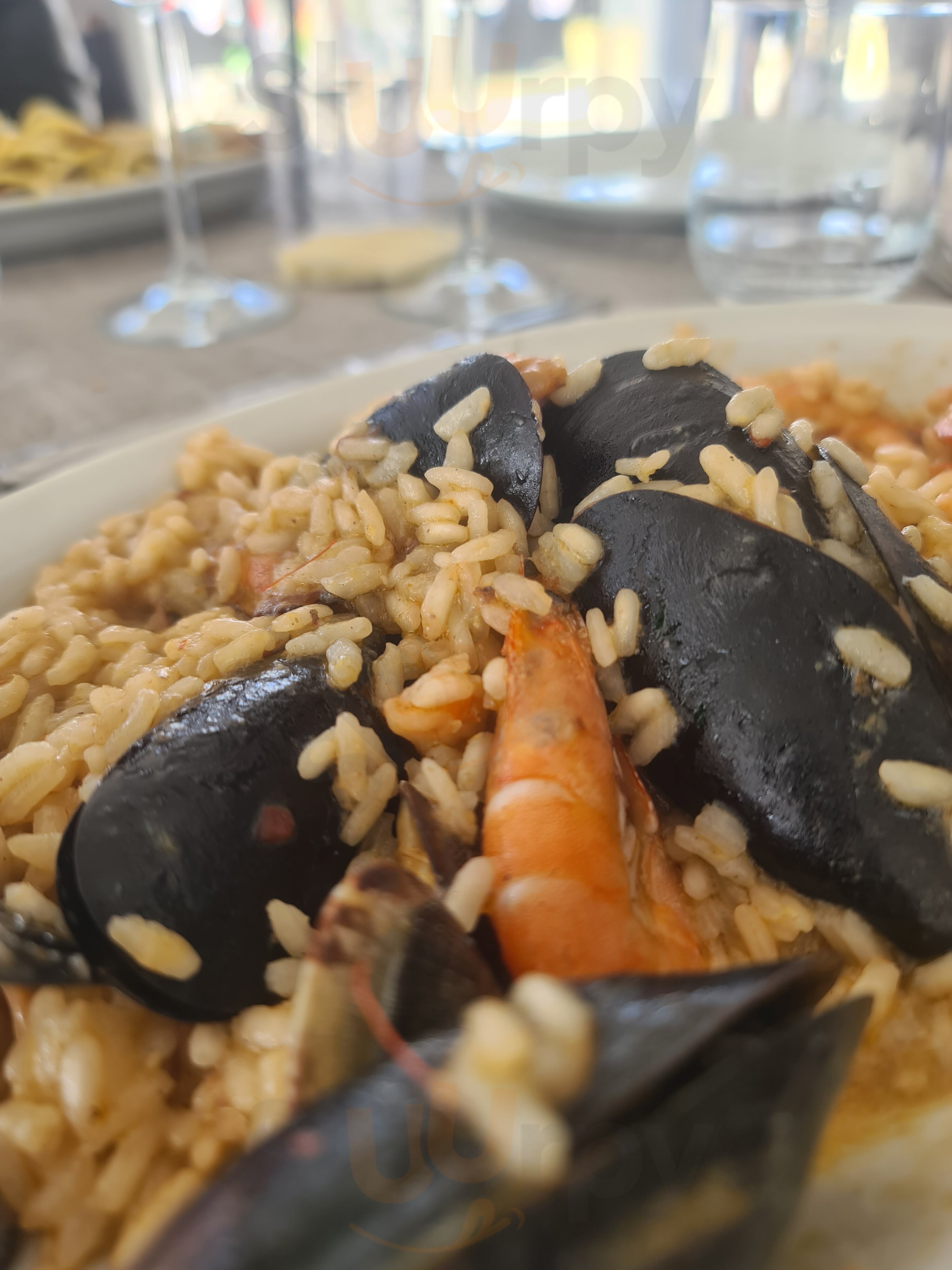 Foto di Coh Beach Club Fregene - 10/10