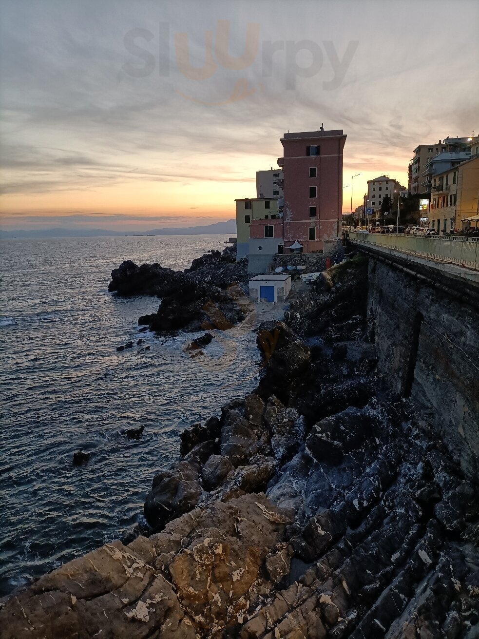 Pier - Restaurant & Bistrot, Genova