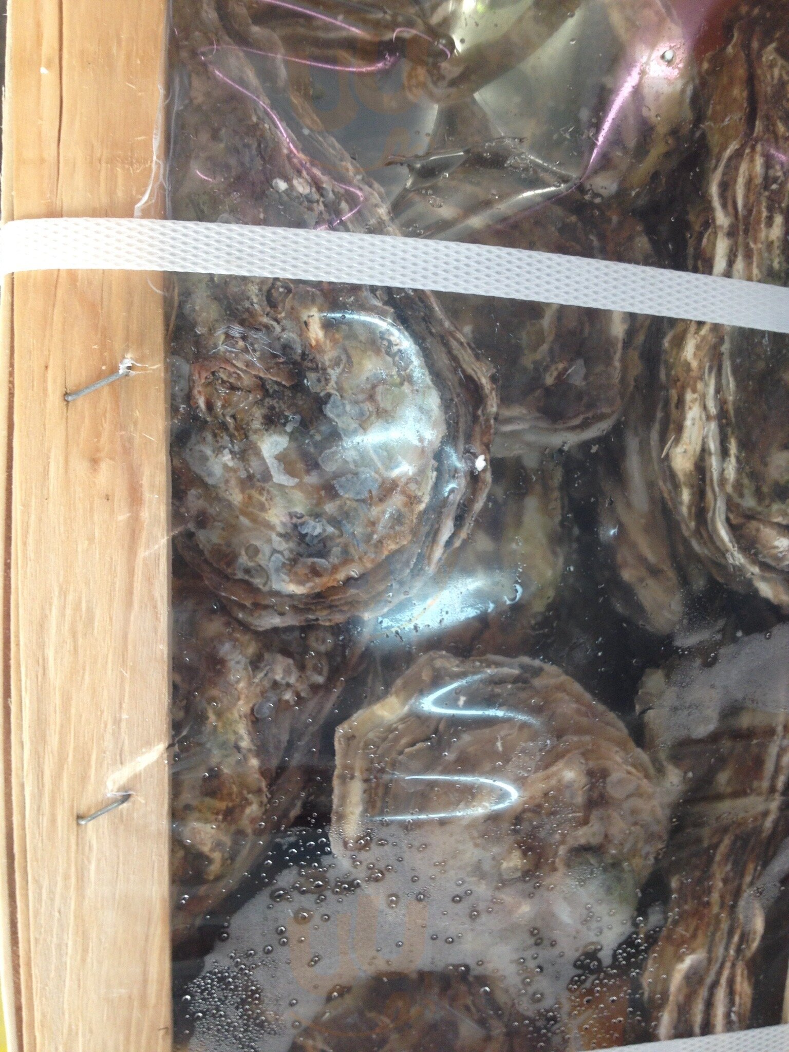 Foto 2 di Friggitoria Pescheria Jonio Blu