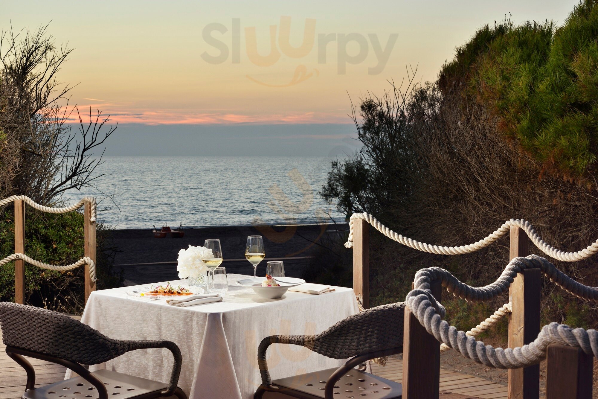 Ristorante Crudo Di Mare - Direttamente In Spiaggia, Marina di Bibbona