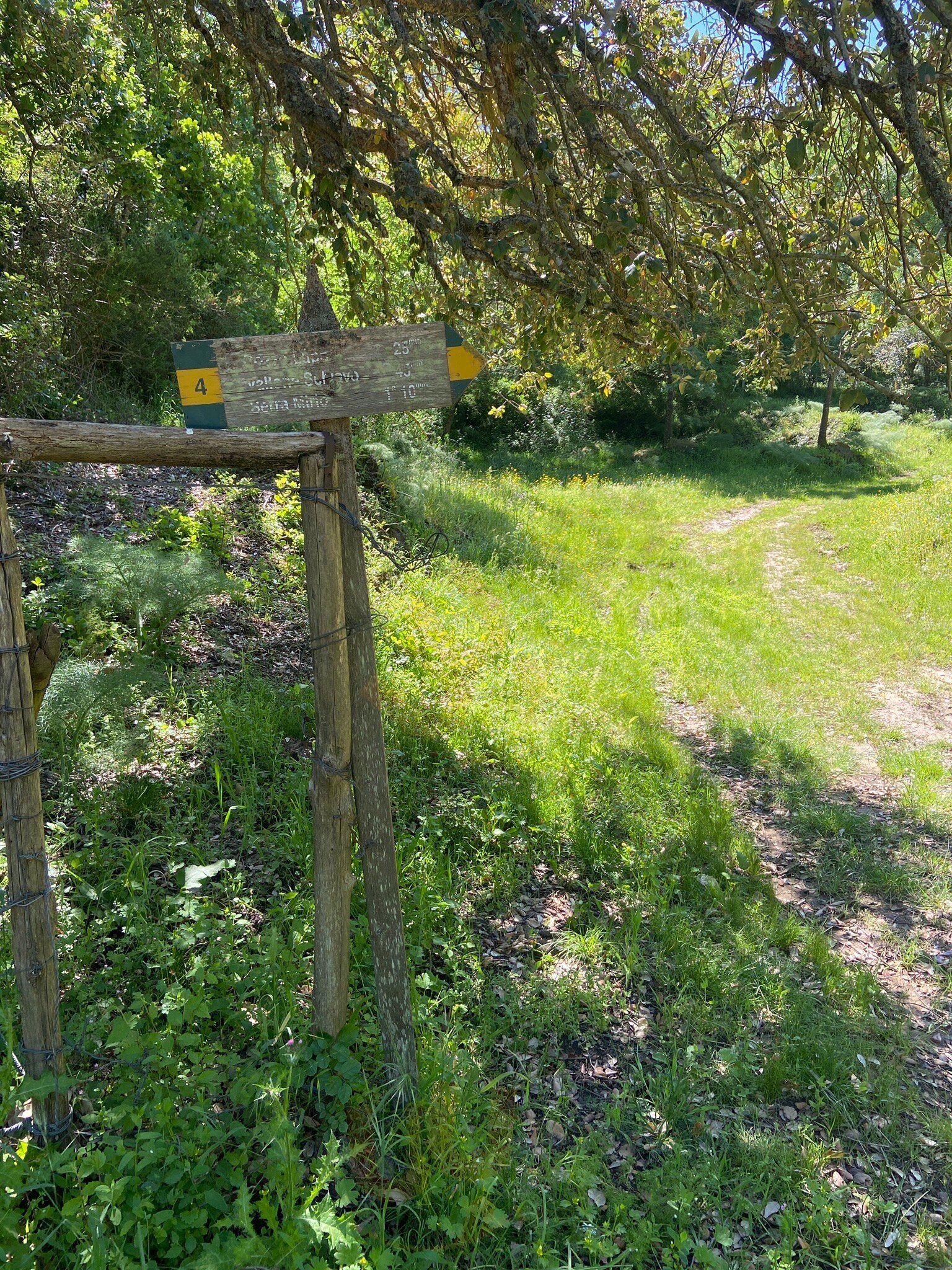 Il Rifugio Bushpub, Ficuzza