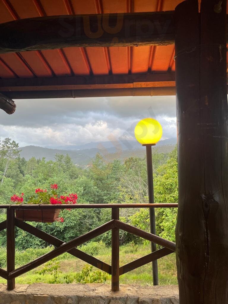 Foto di Agriturismo Il Casale - 8/10