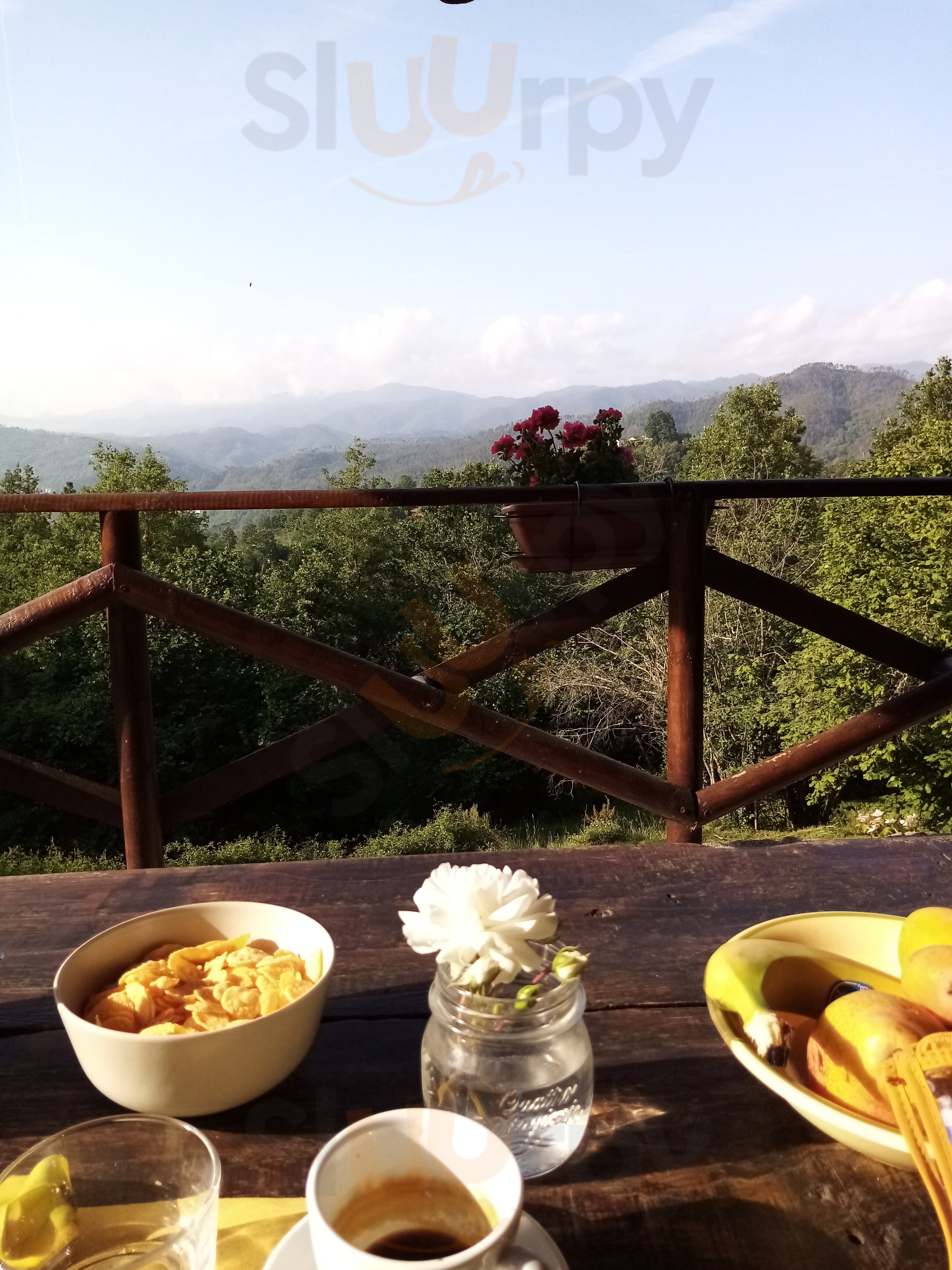 Foto di Agriturismo Il Casale - 10/10