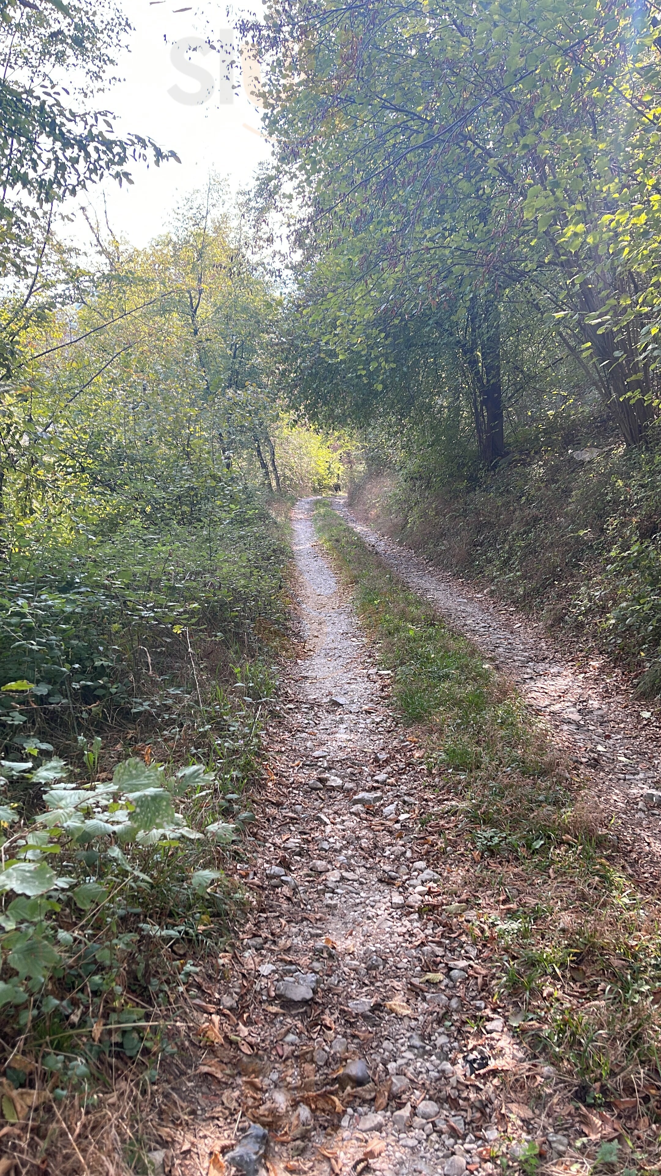 Foto di Agriturismo Caprante - 7/10