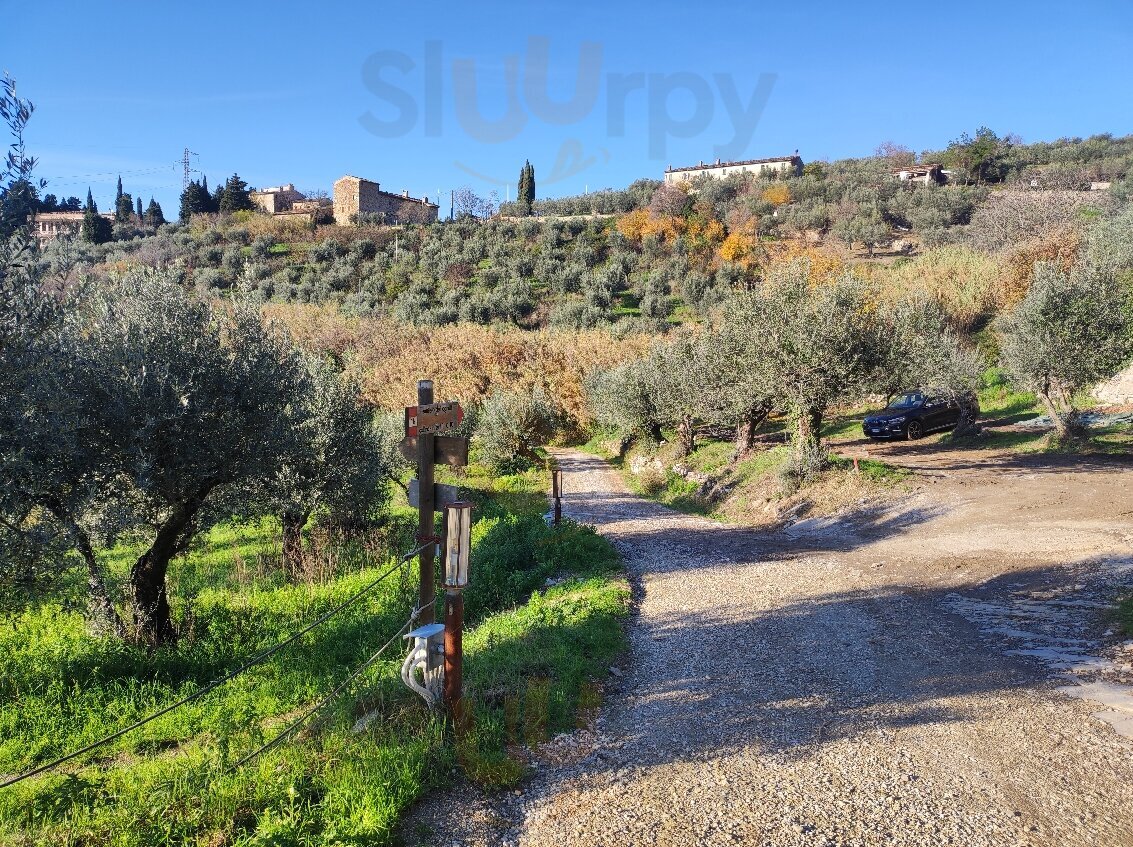 Foto di Agriturismo Casa La Valle - 7/10