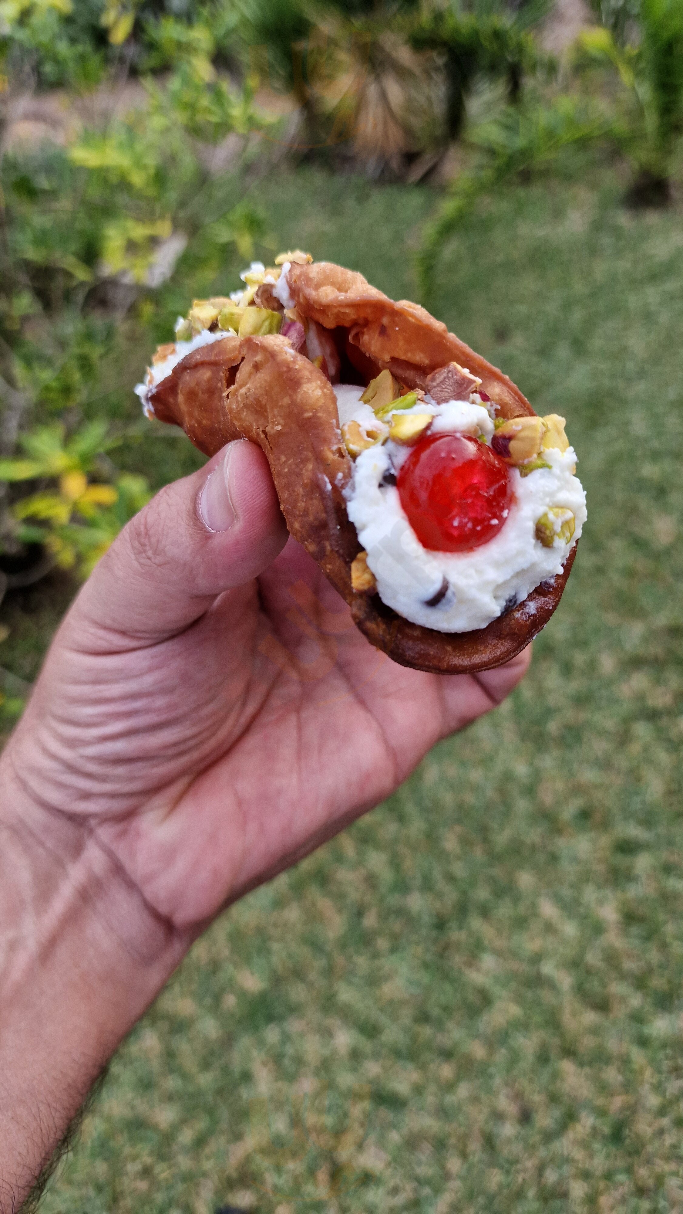 Foto di Frontemare Homerestaurant - 10/10