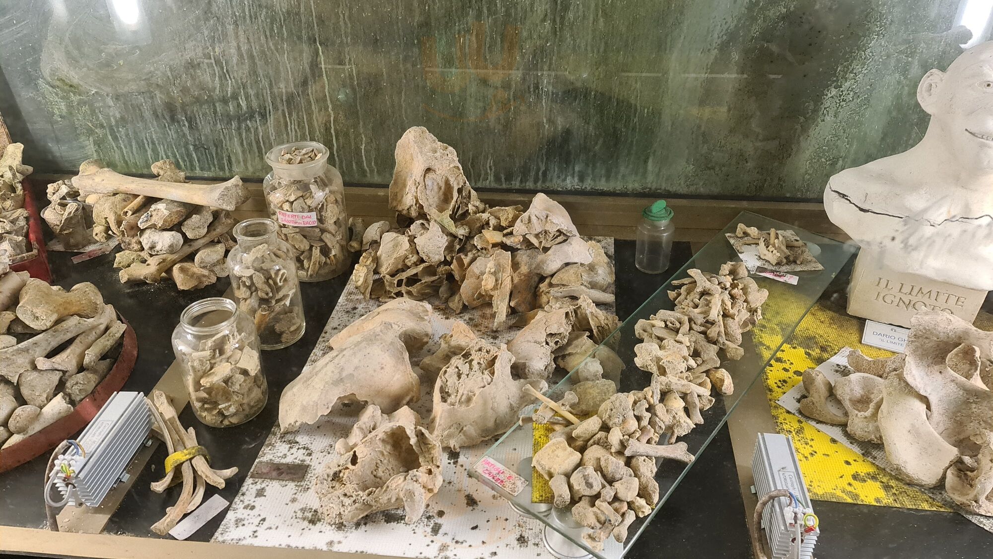 Foto di Bar Delle Grotte Di Bossea - 6/6