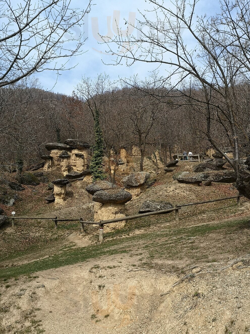 Foto di Fea's - 7/10