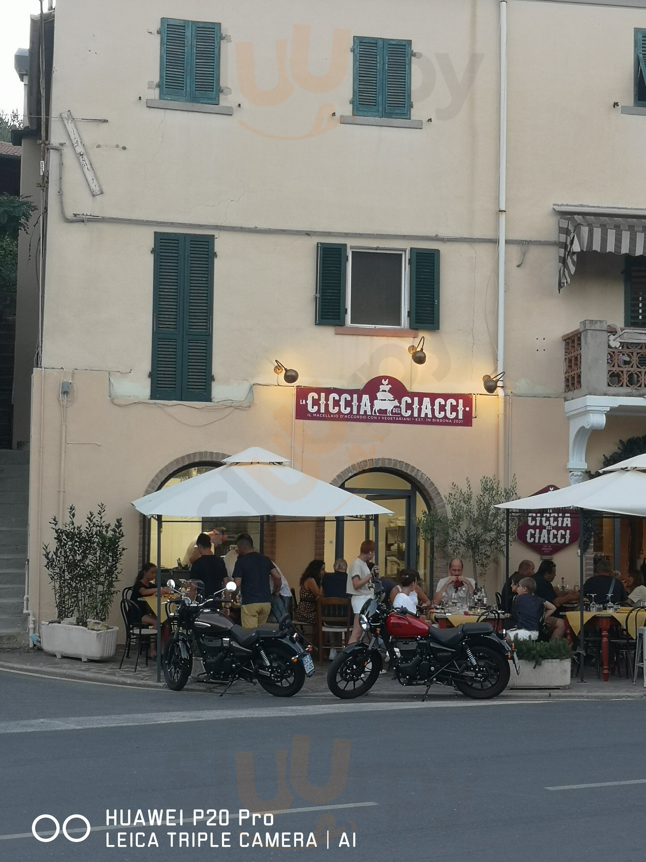 La Ciccia Del Ciacci, Bibbona