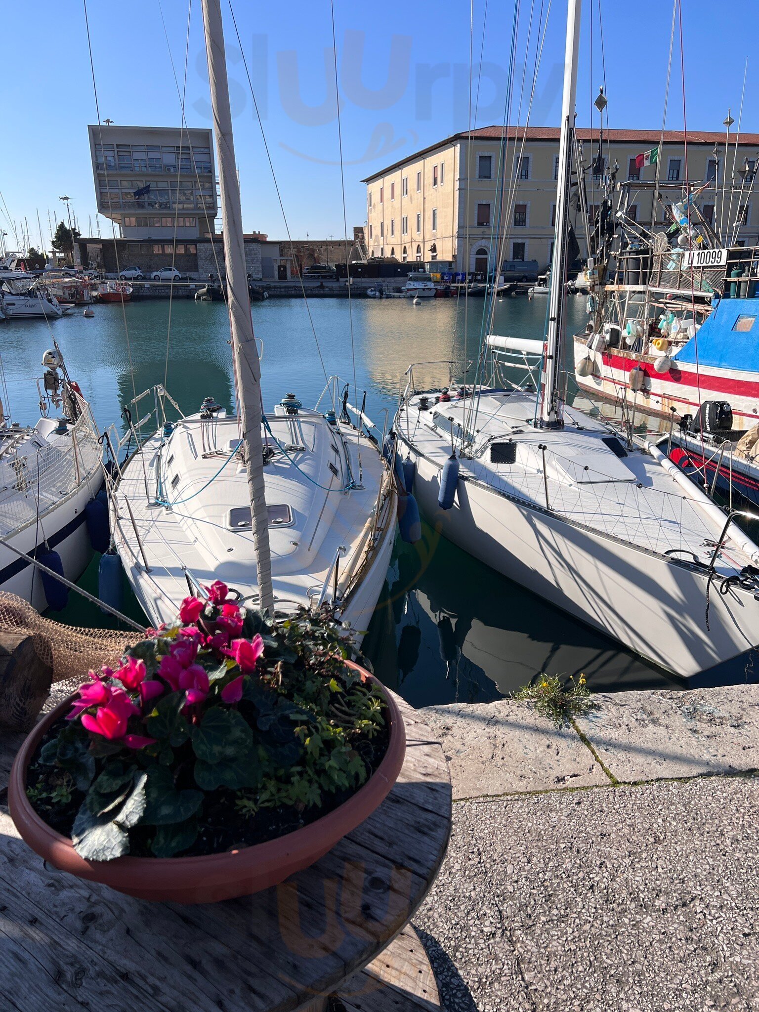 Il Chiosco Del Porto, Livorno