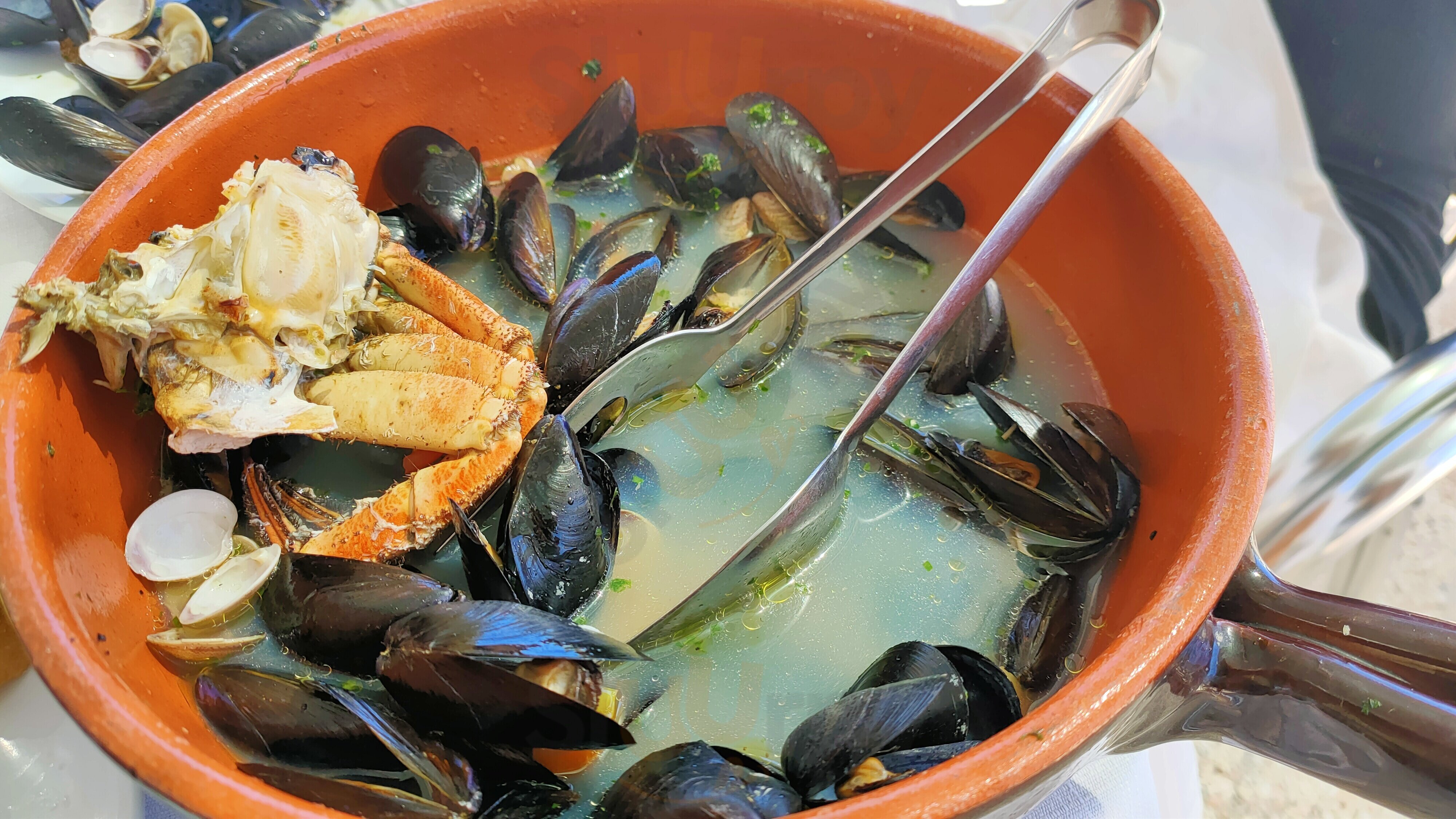 Il Salice Rosso, Porto Recanati