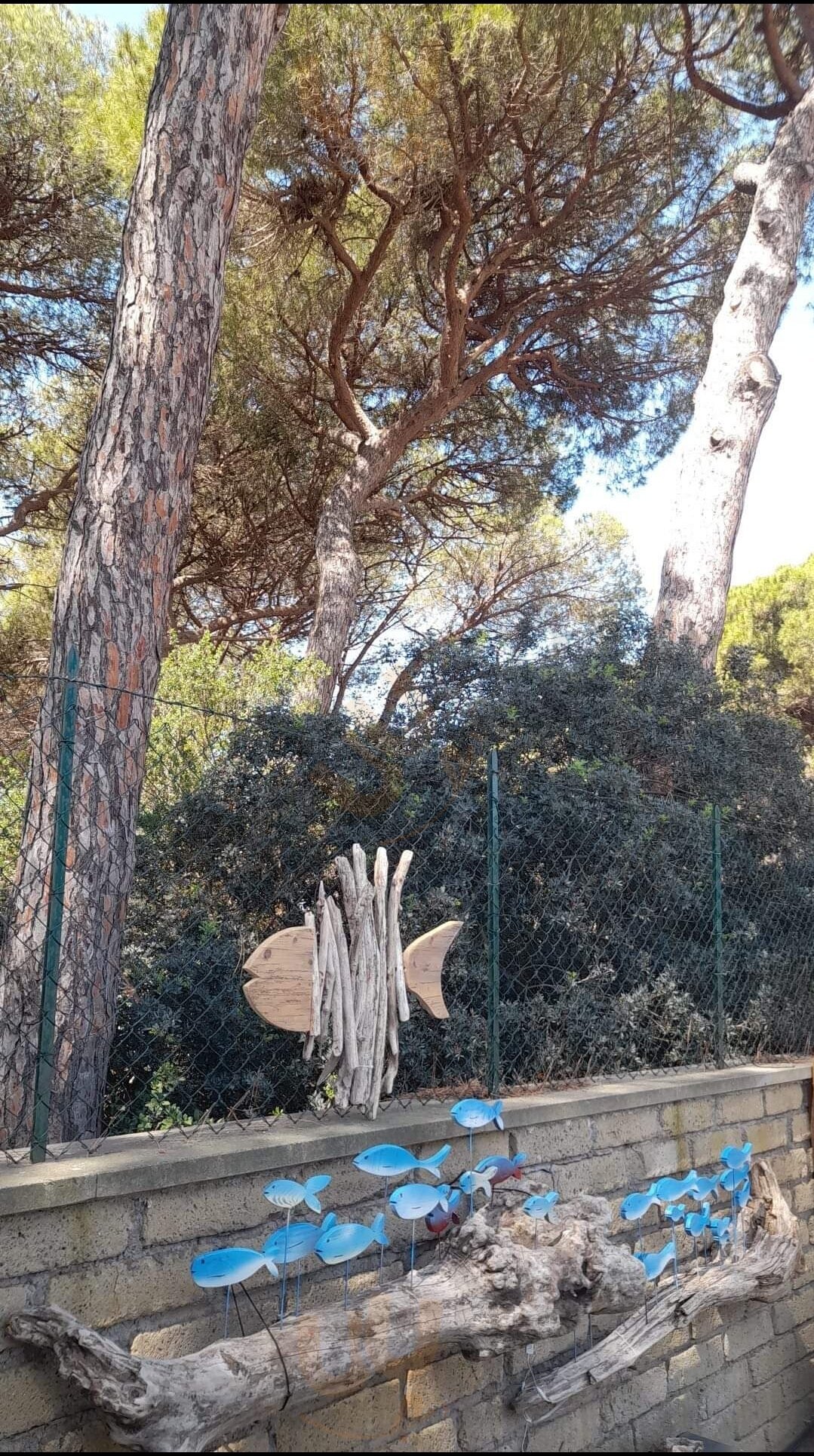 L'altro Mare, Pescia Romana