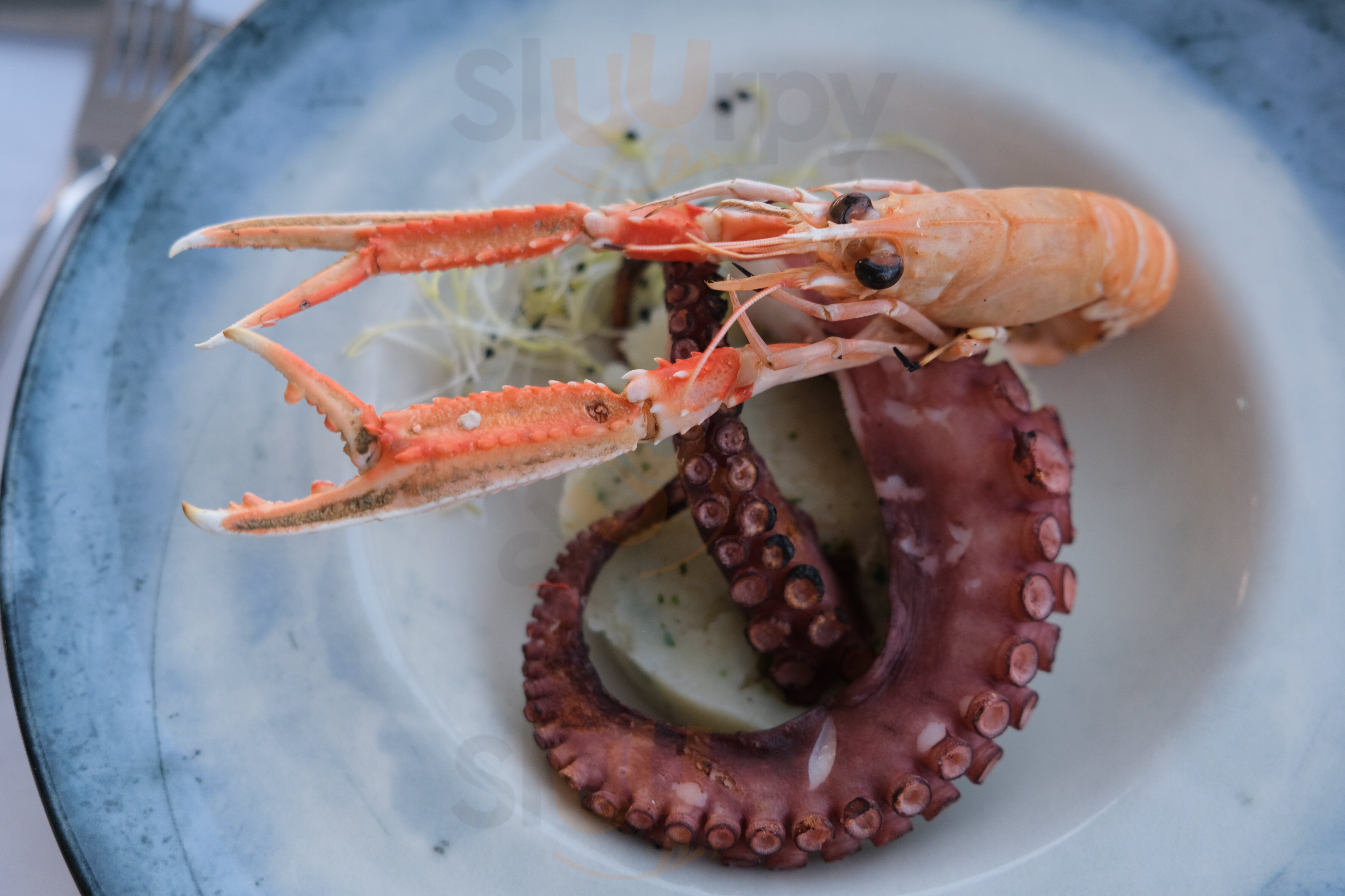 Ristorante Tenuta Le Difense, Peschici