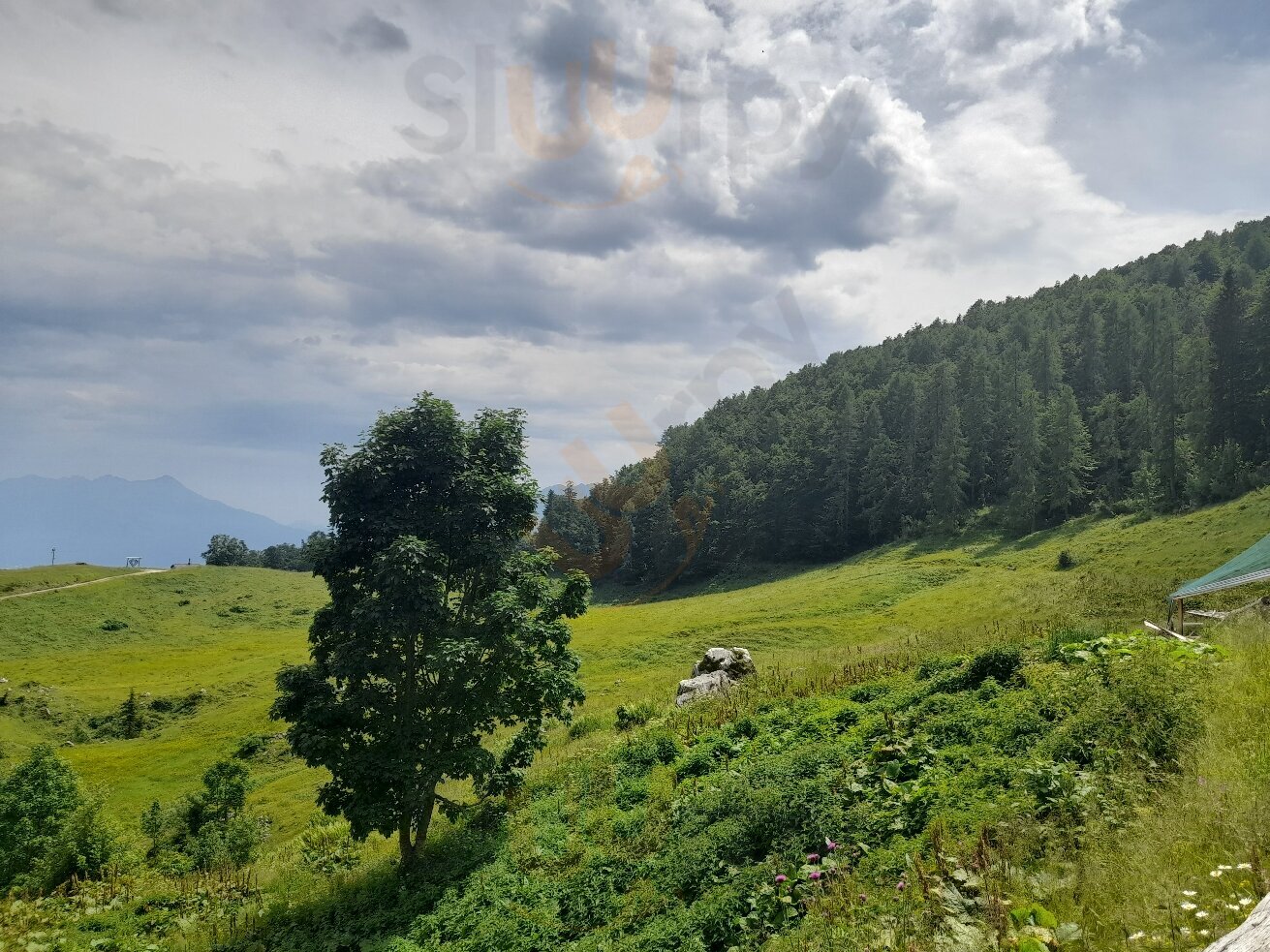 Malga Pura, Ampezzo