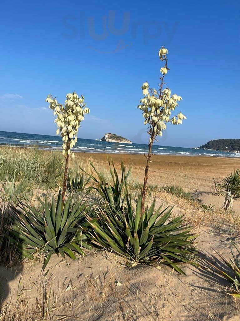 Lido Dei Sogni, Vieste