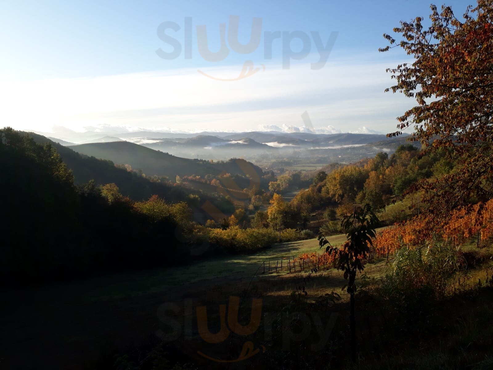 Cascina La Maggiora Agriturismo, Acqui Terme