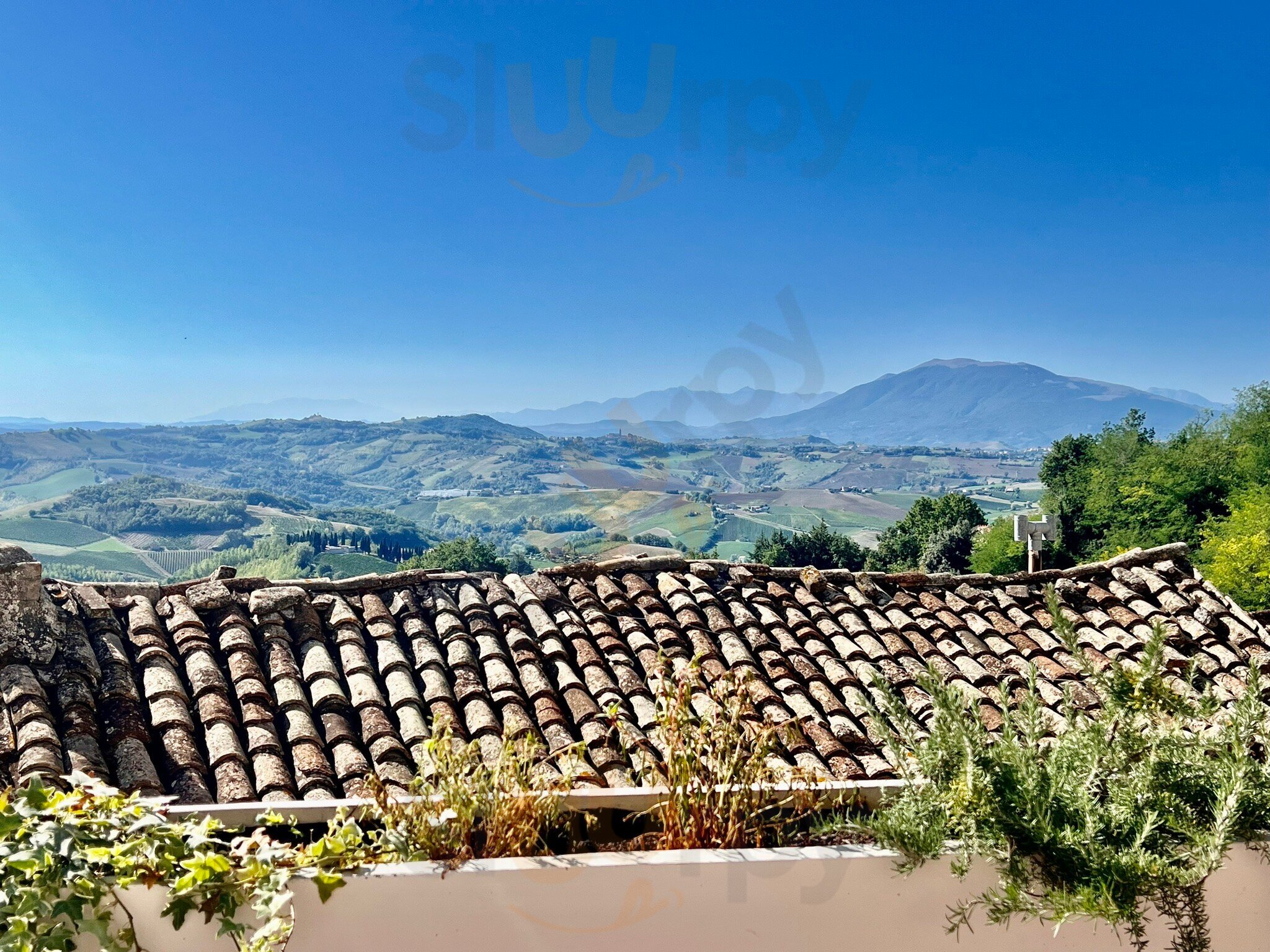 Sottoscala Gusteria, Montalto delle Marche