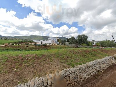Foto di Azienda Agricola Conte - 2/6