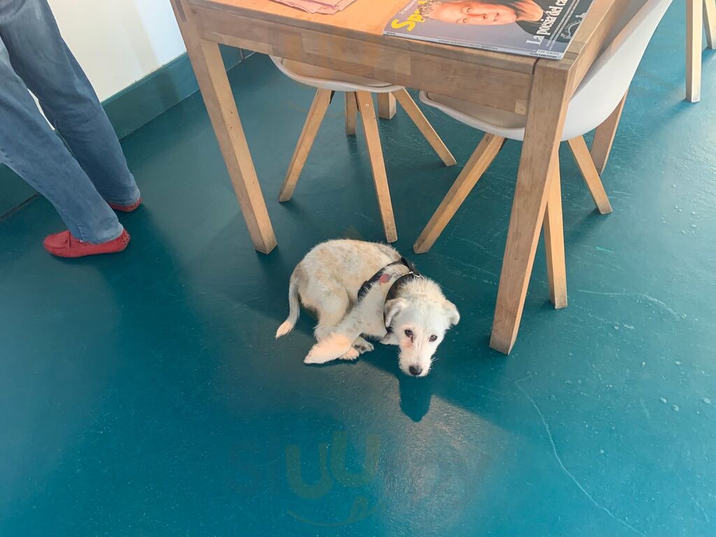 Foto di Ci Voleva - 10/10