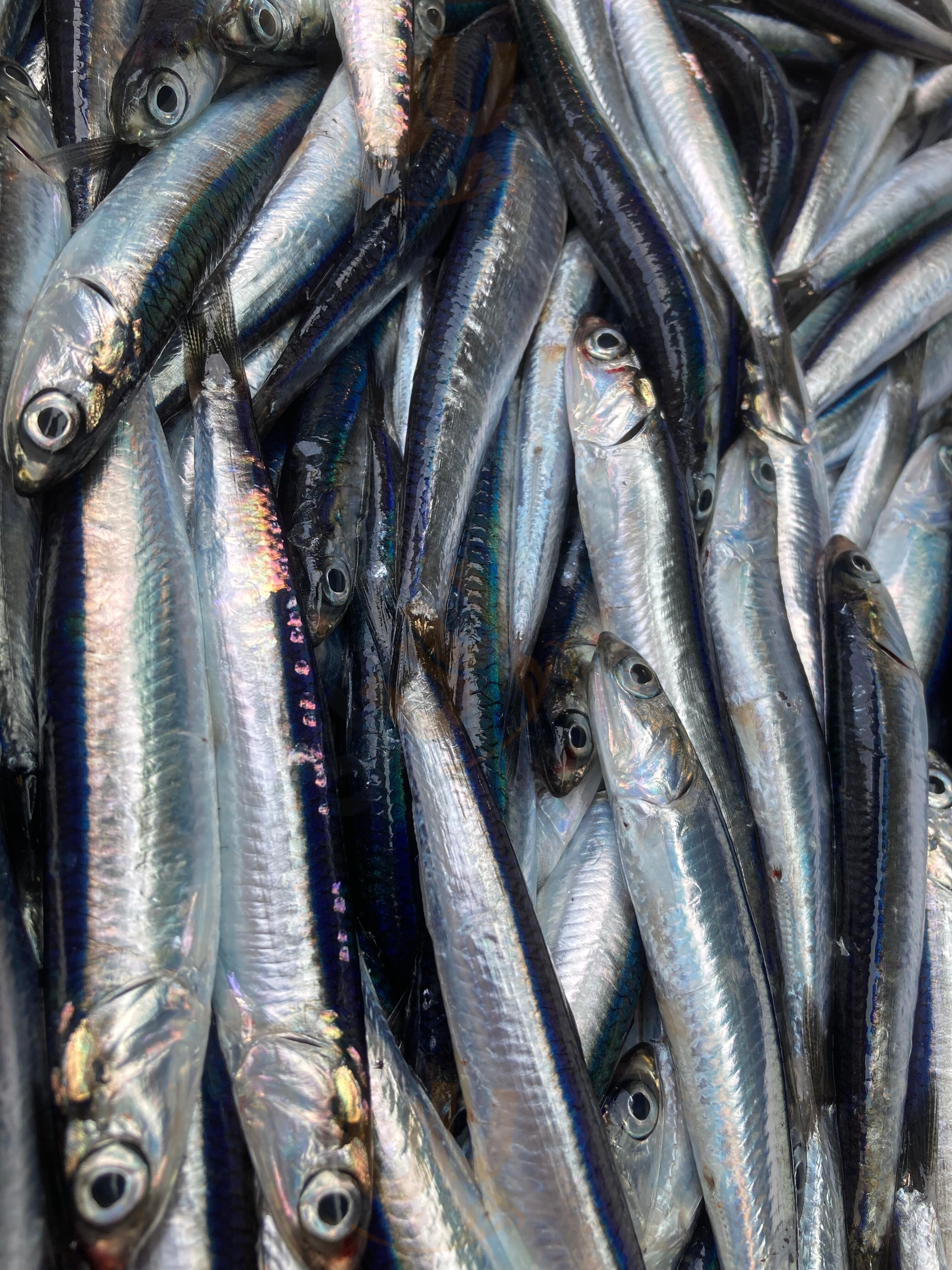 Foto di Da Ponci - 8/10