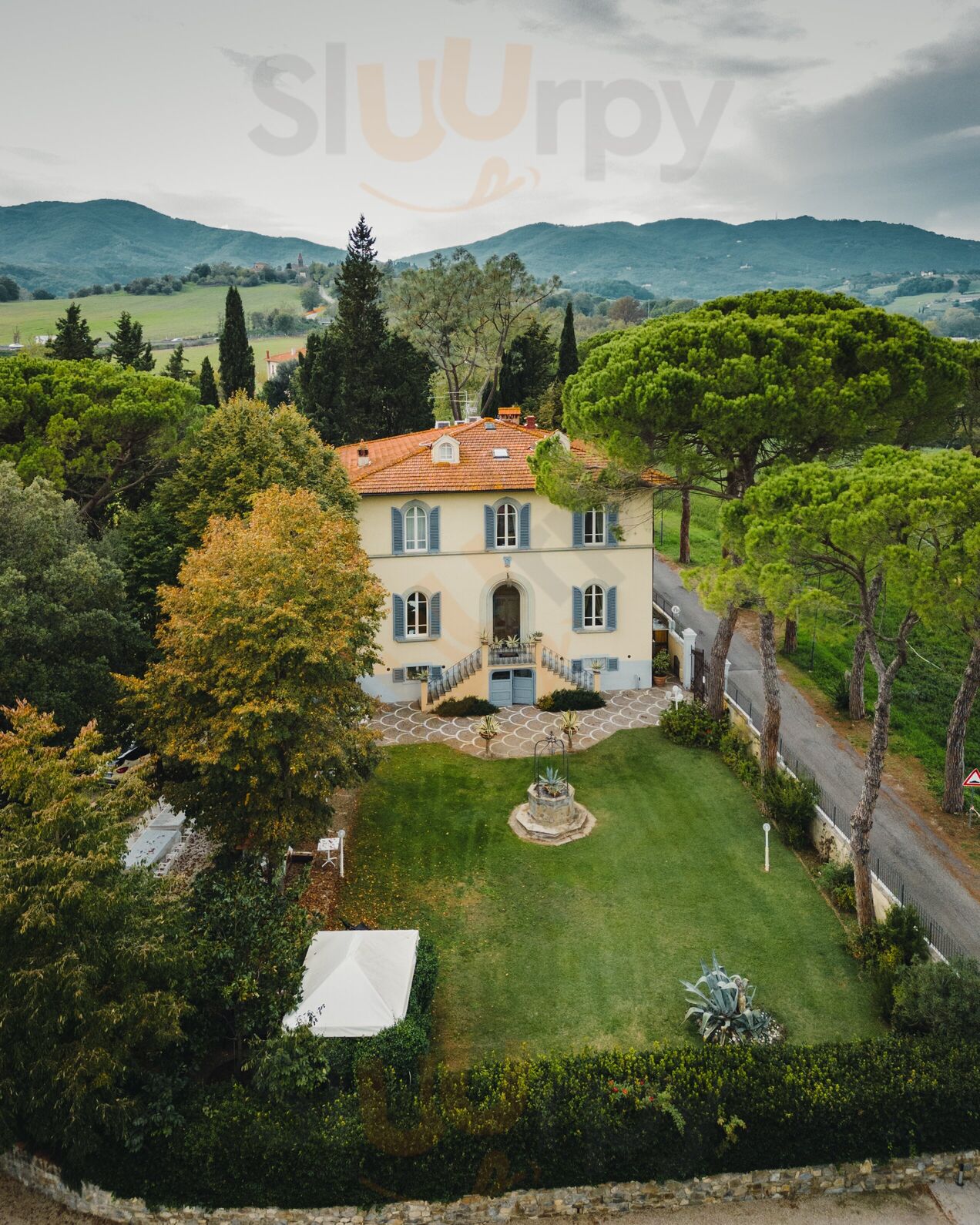 Foto di Franci Home Restaurant - 6/6