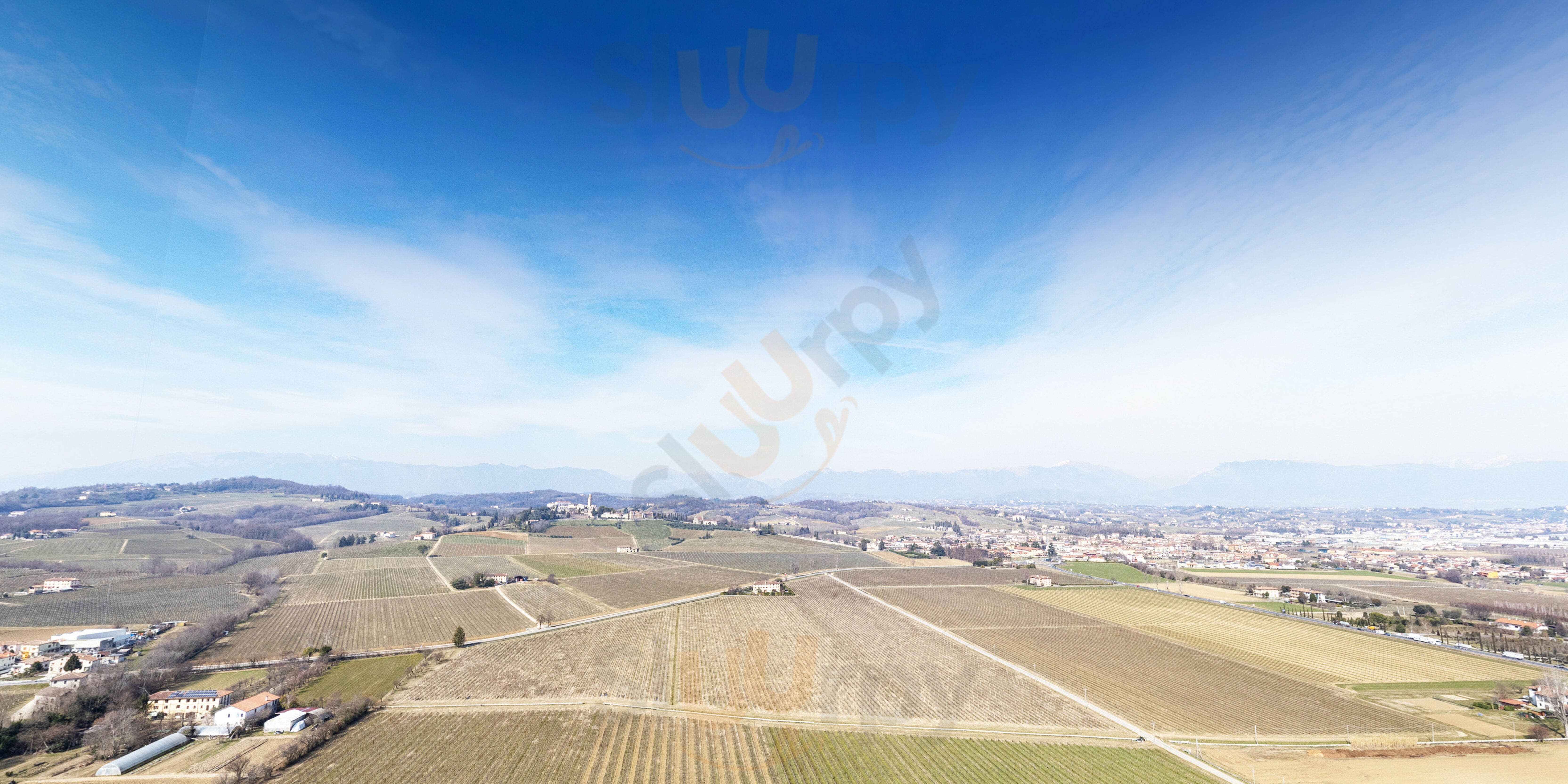 Vineria Borgoluce, Susegana