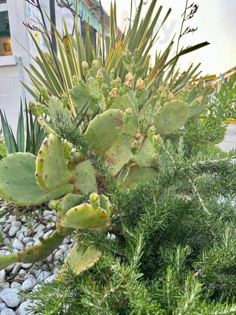 Foto di Aqua Lounge Bar & Restaurant - 10/10