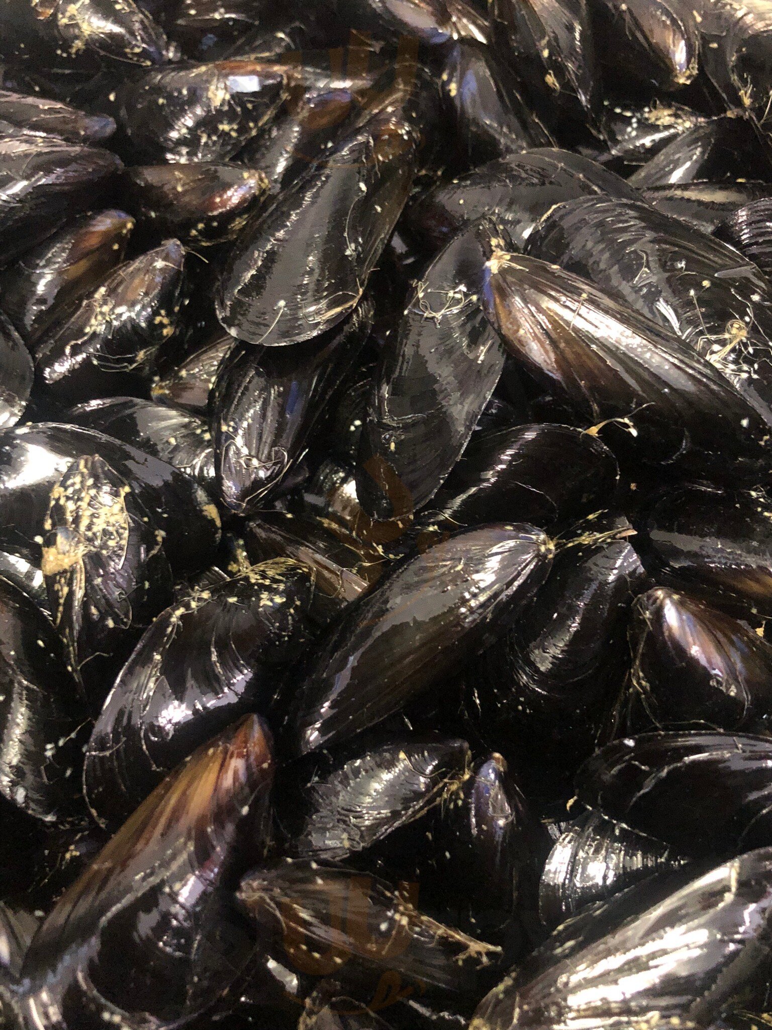 Foto di Il Giardino Da Nico - 7/10