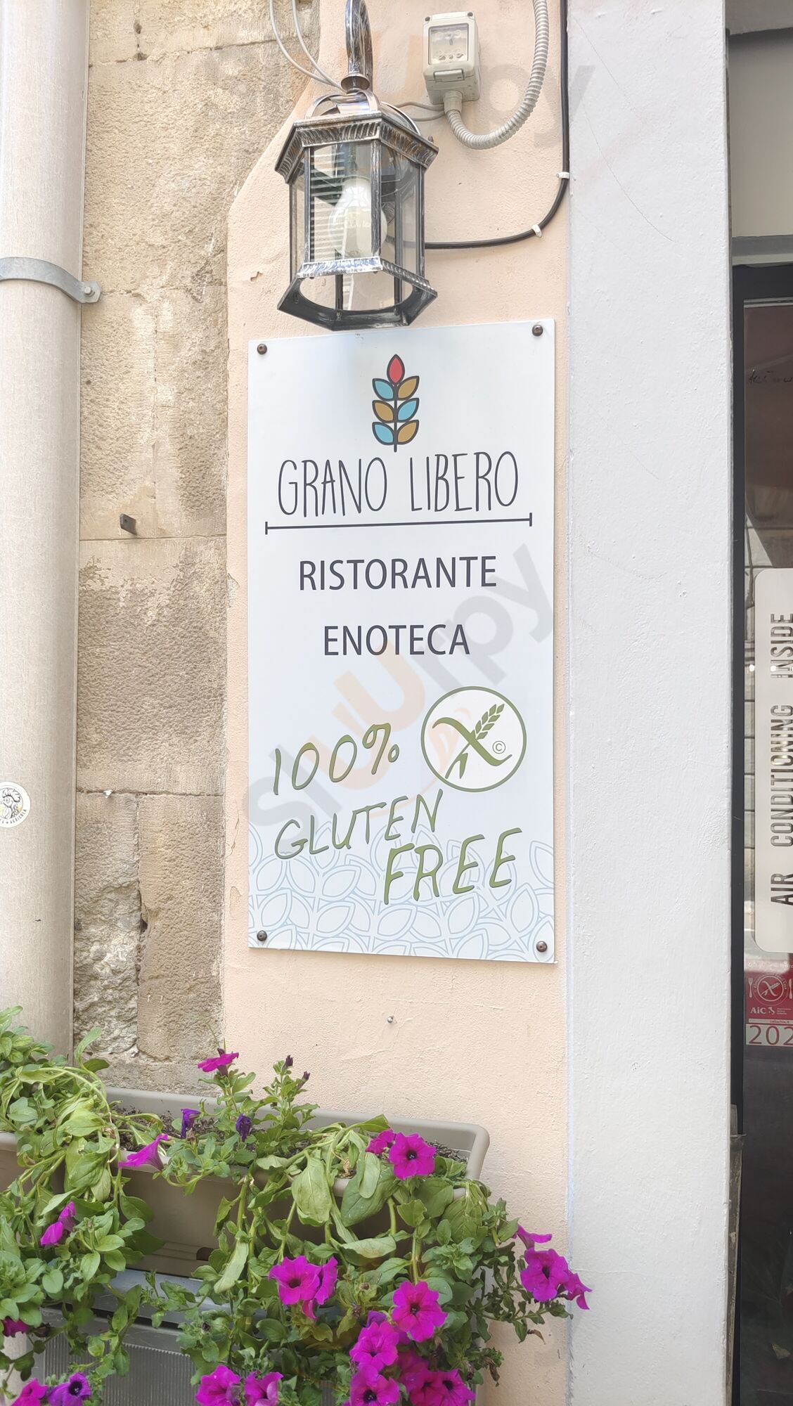 Ristorante Enoteca Grano Libero, Pisa