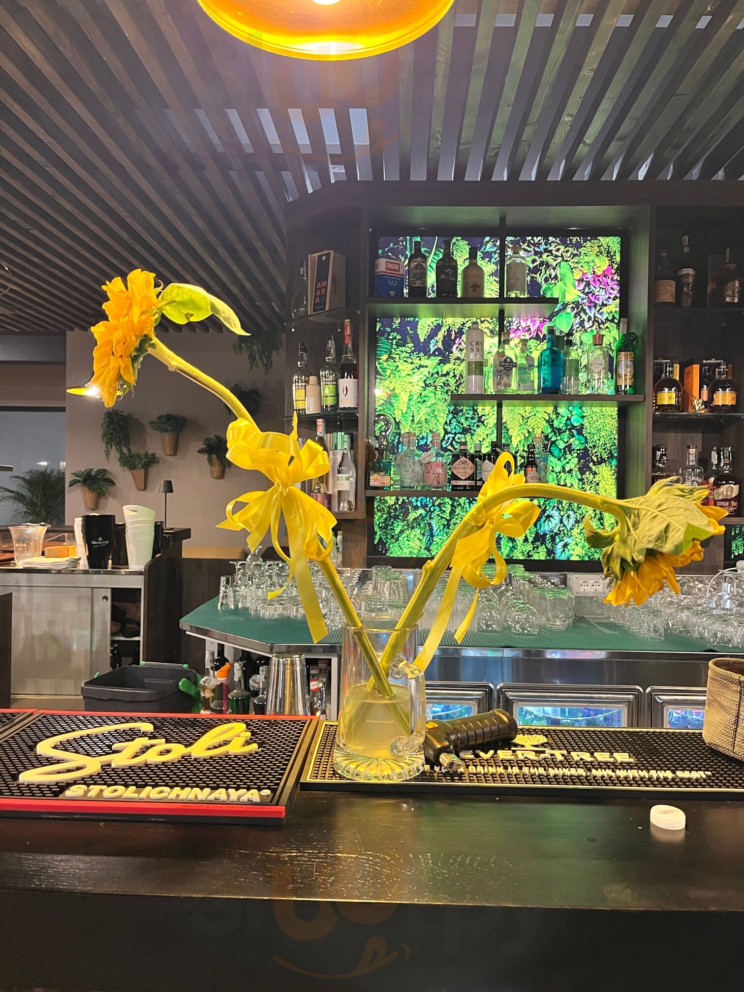 Foto di Triana Restaurant - 7/10