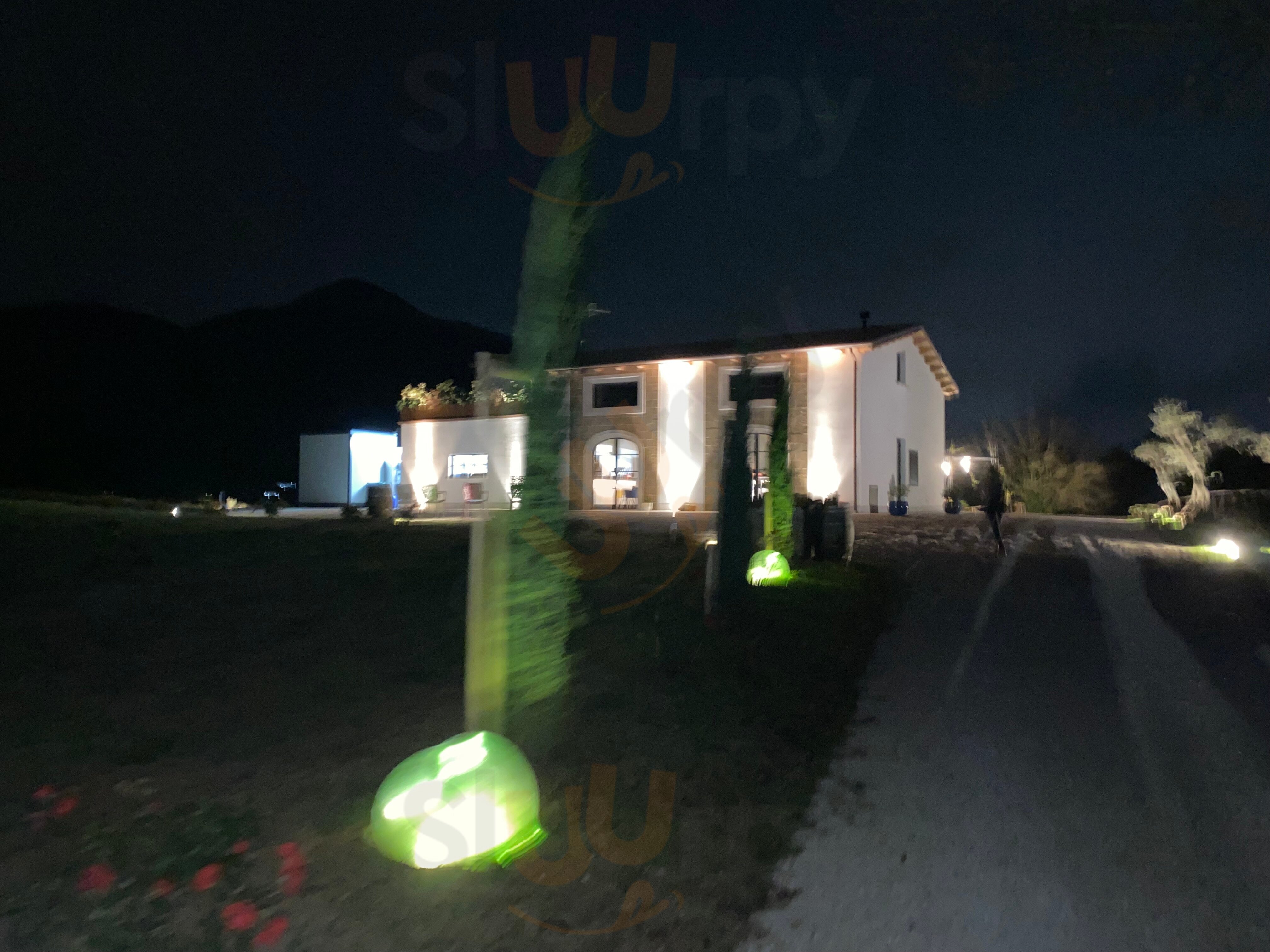 Foto di Tenuta Tomaso - 10/10