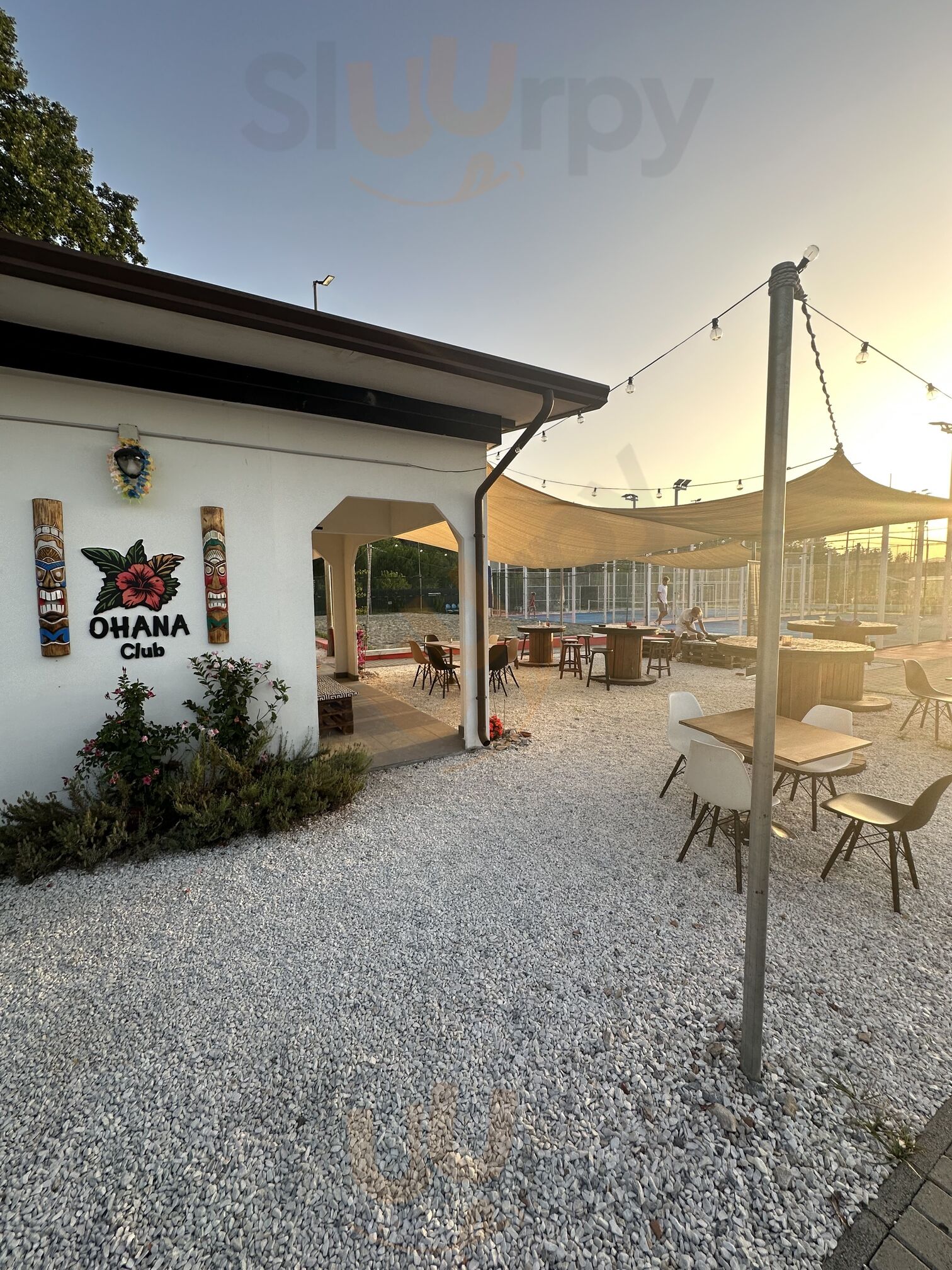 Ohana Club, Marina di Massa