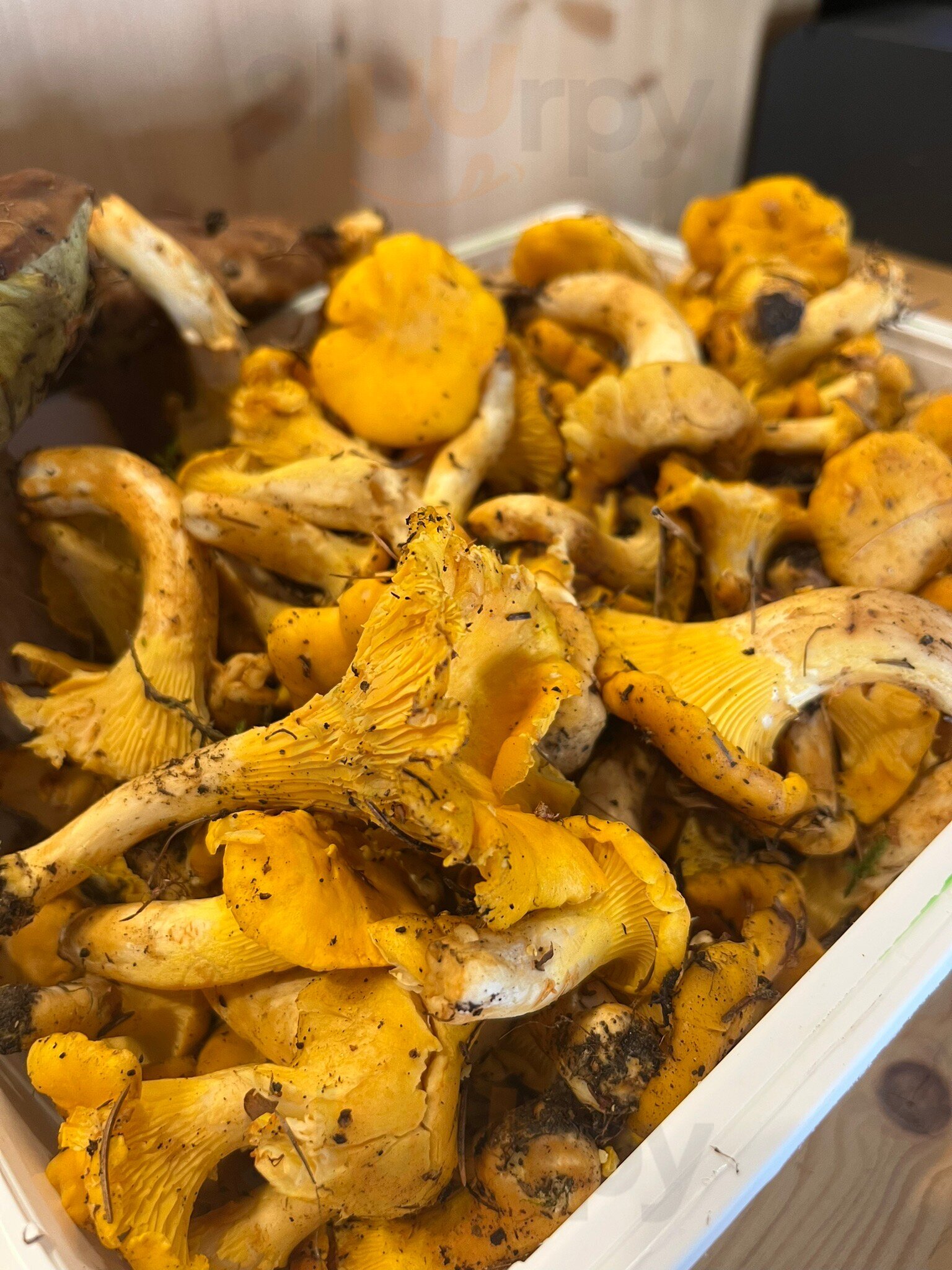 Foto di Pejo Stube - 8/10