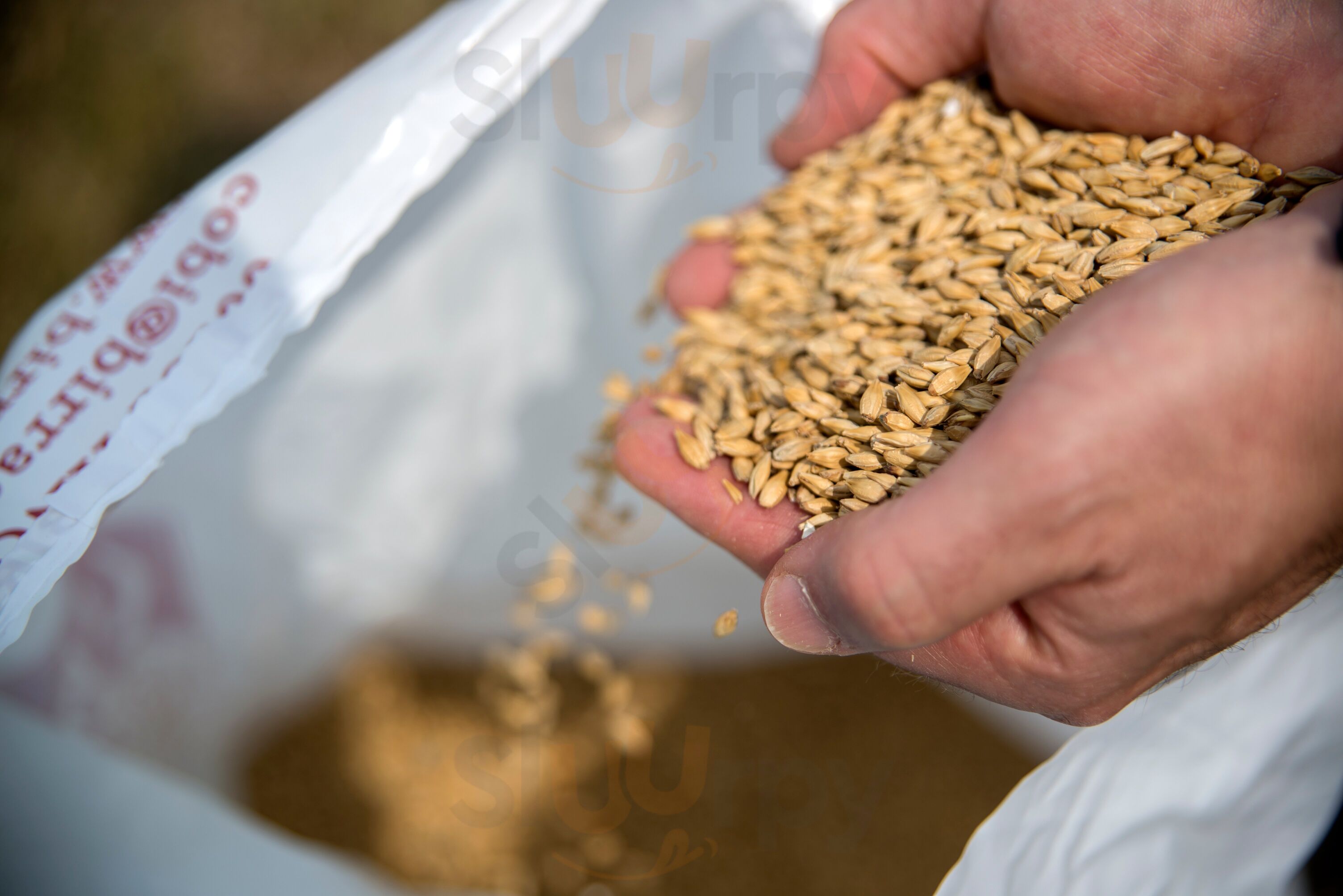 Foto di Oi, Agriturismo E Spaccio Agricolo - 7/10