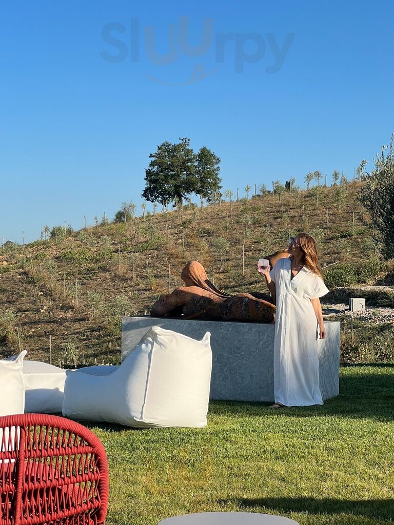 Foto di Podere 1384 - 10/10