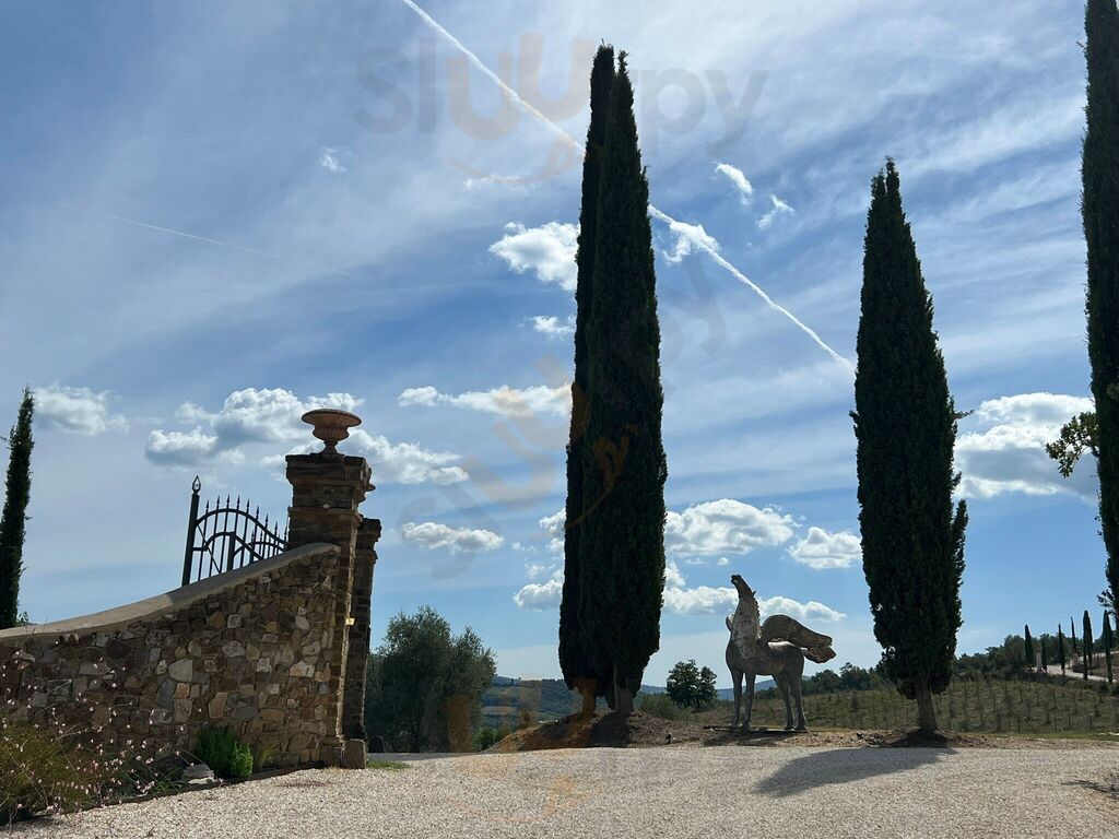 Foto 2 di Podere 1384