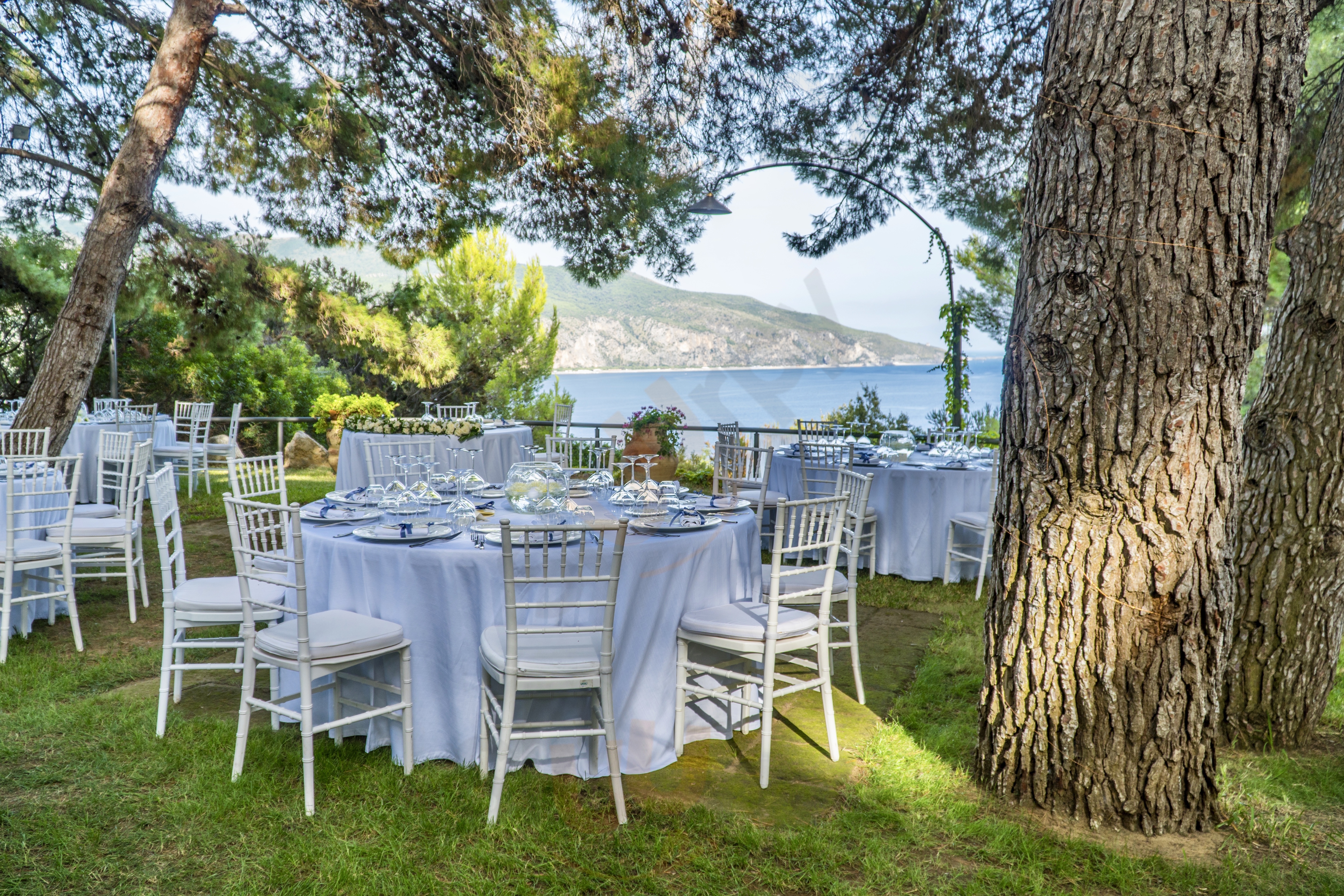 Tenuta Punta Galera, Palinuro