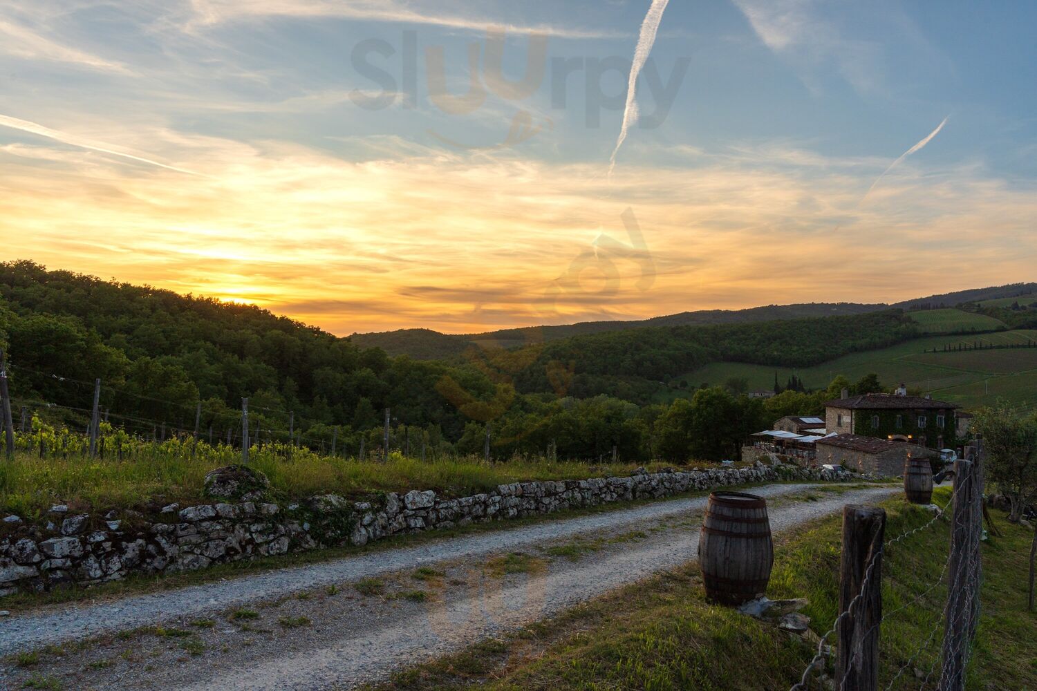 Cortedomina Ristorante E Cantina, Radda in Chianti