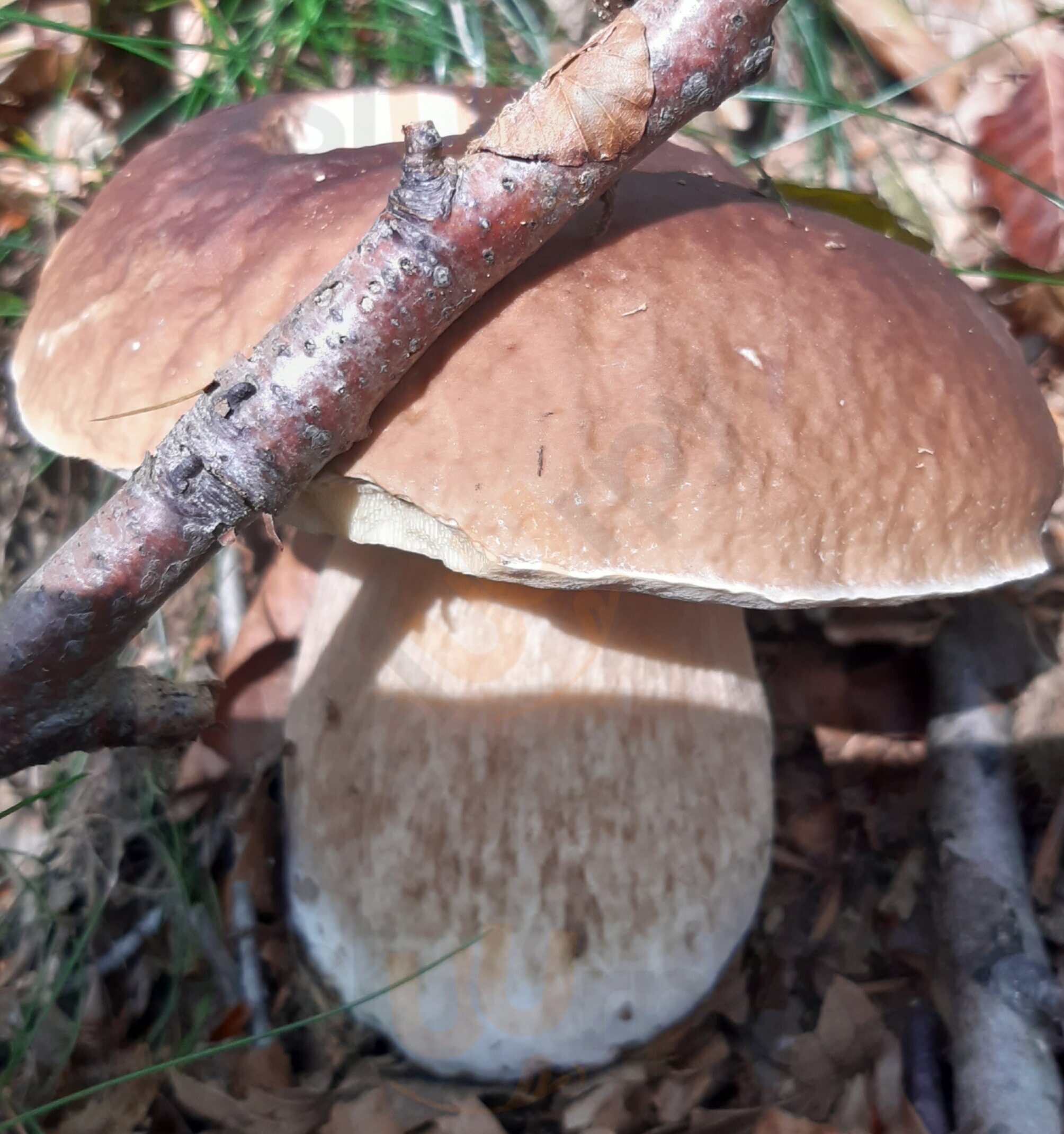 Foto di Rifugio Pratorotondo - 7/10