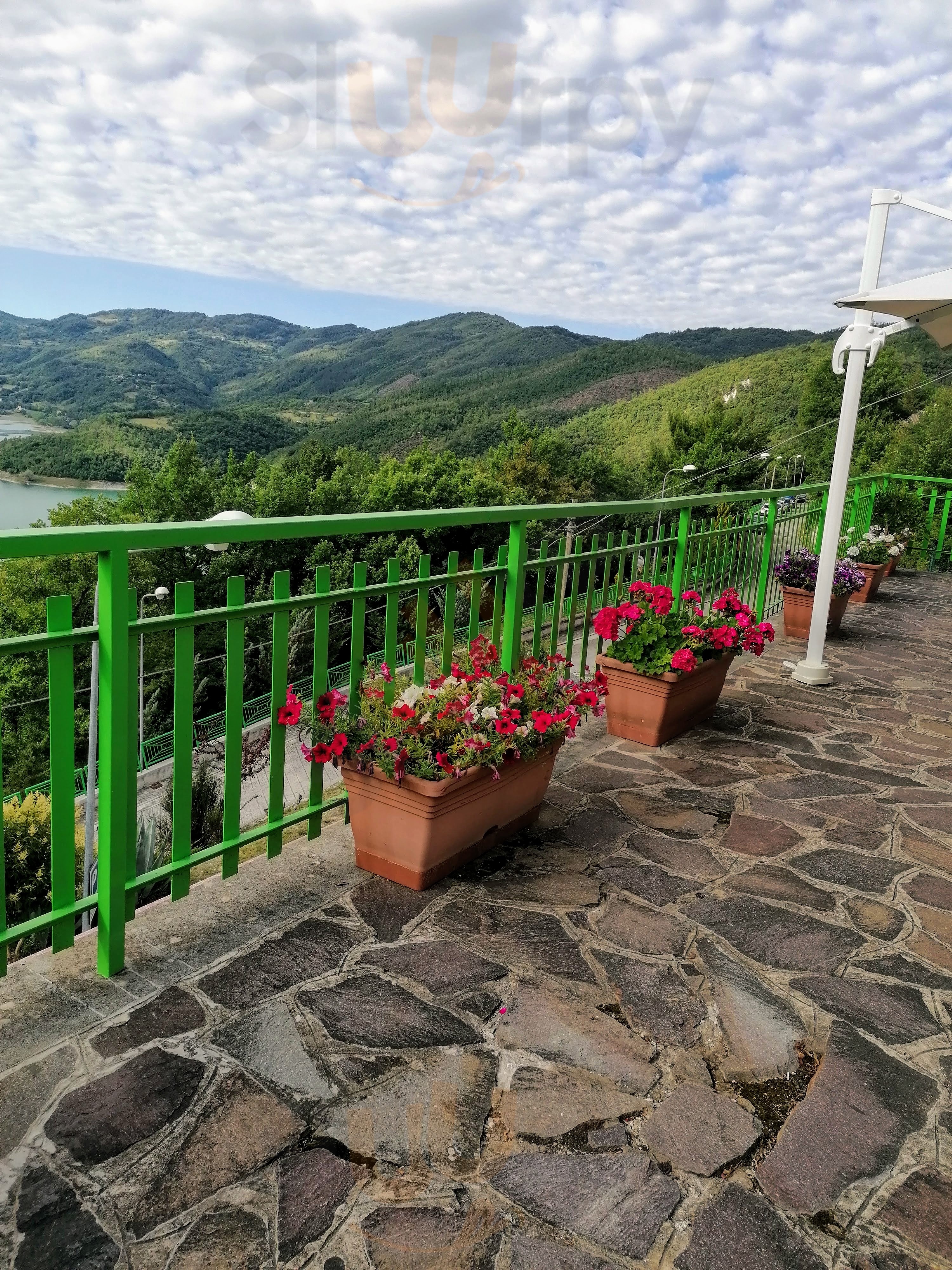 Bar Belvedere