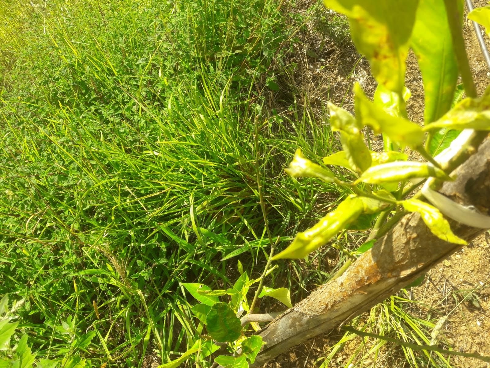 Azienda Agricola Valle dello Sceriffo