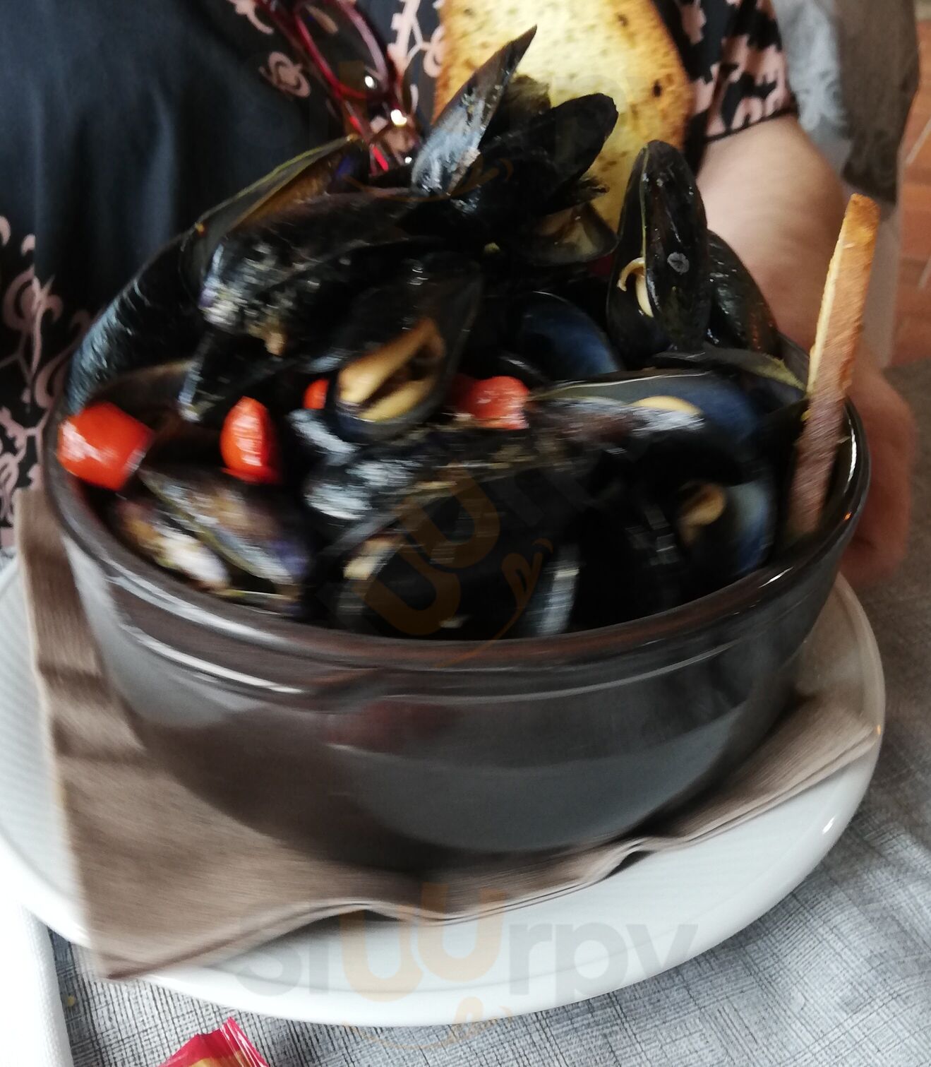 Foto di Pesce Fuor D'aqa - 10/10