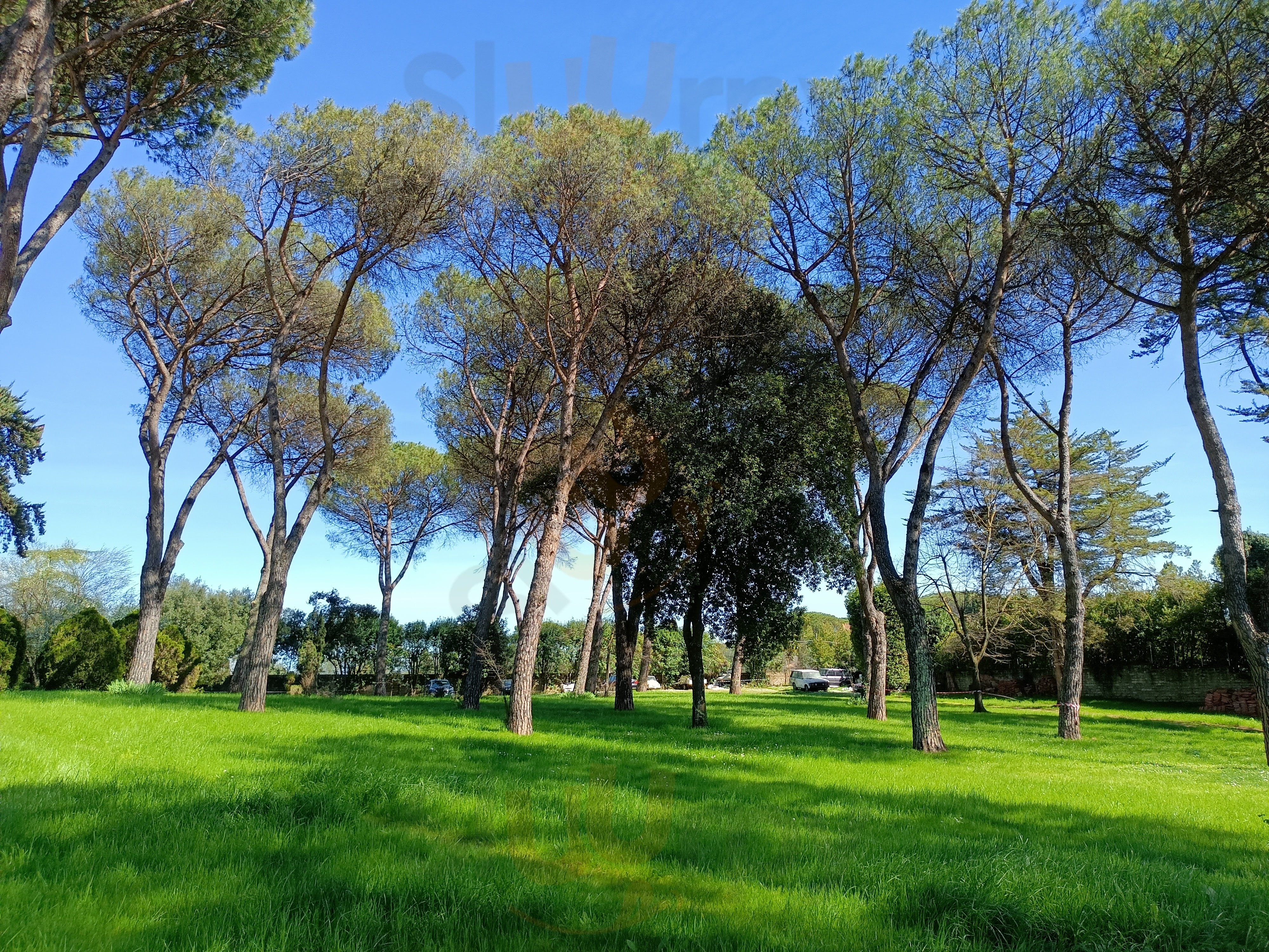 Villa Majestic Dafne