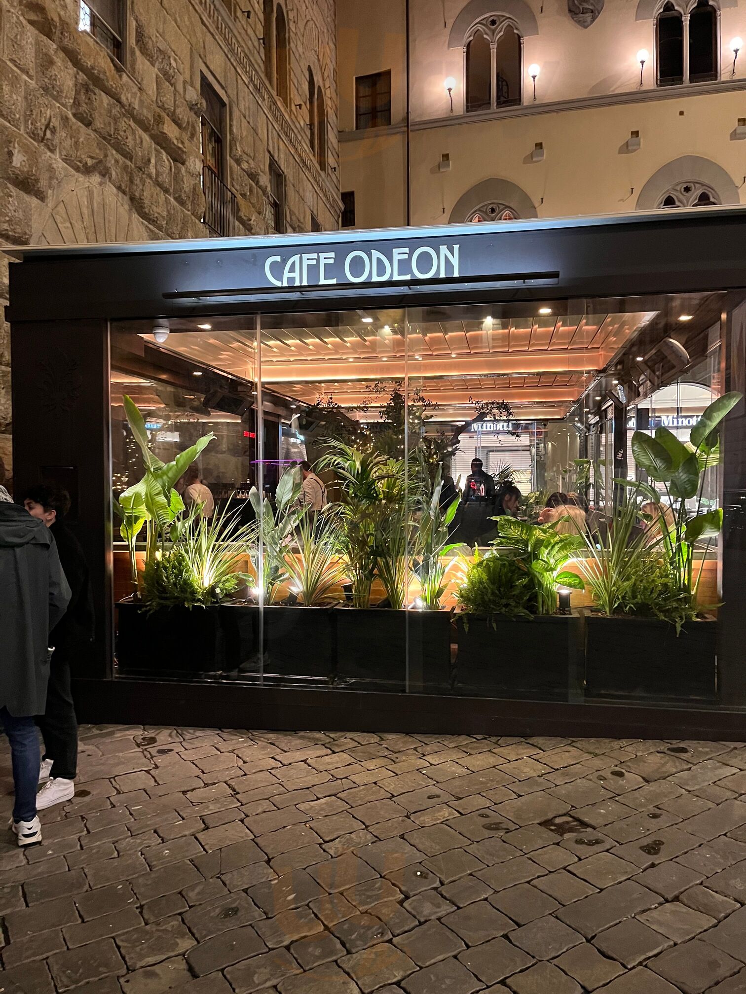 Cafe Odeon, Firenze