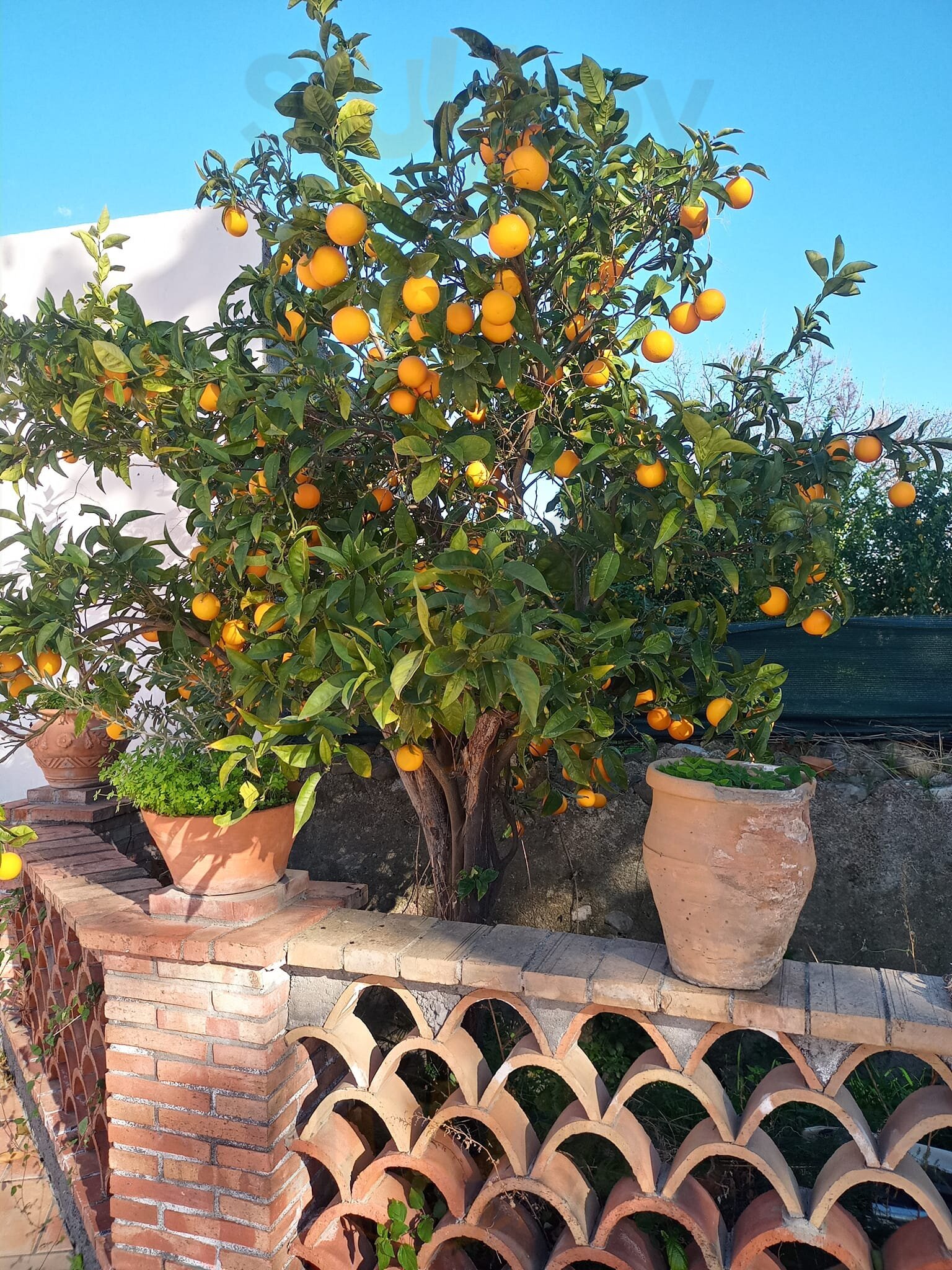 Laboratorio Gourmet, Taormina