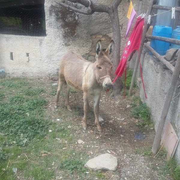 Il Grottino Del Brigante, Penna Sant'Andrea